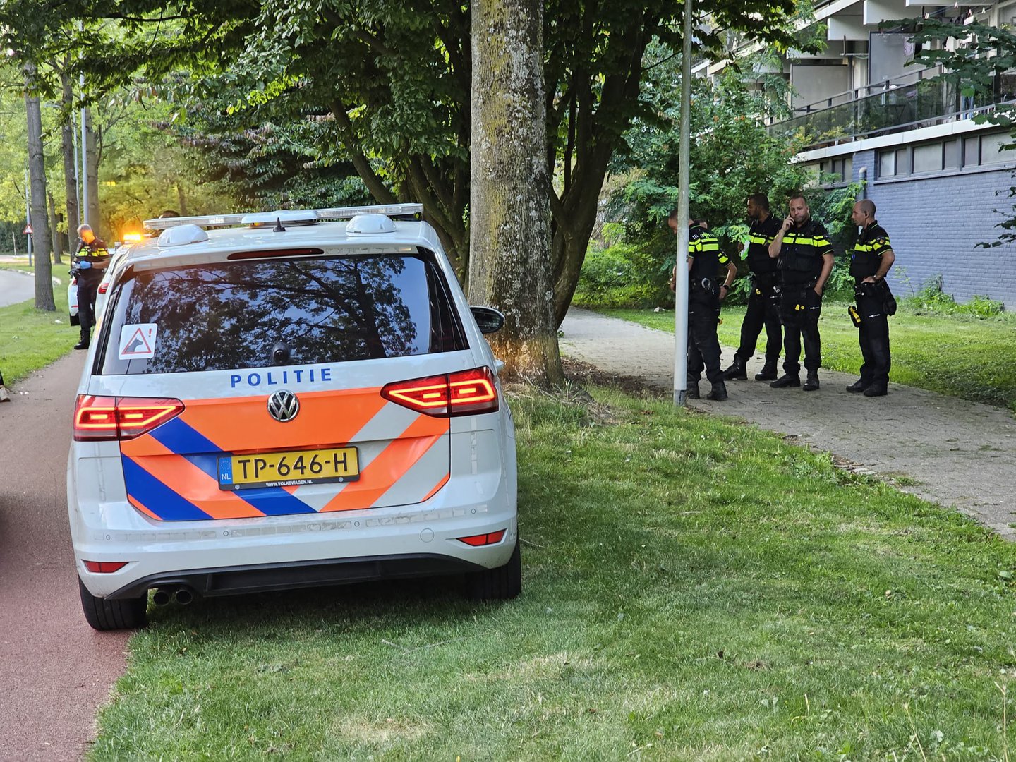 Groepje aangevallen tijdens honden uitlaten: langdurig conflict mogelijk oorzaak