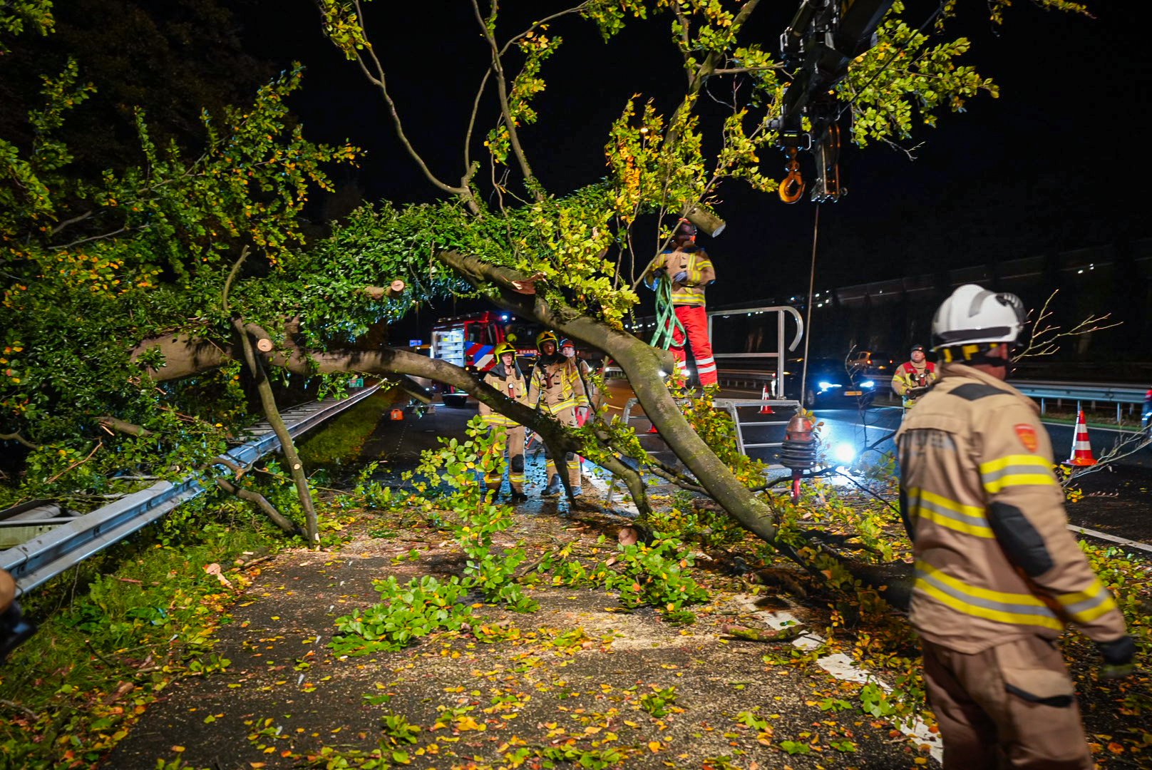 Grote boom valt op snelweg bij Arnhem, auto’s beschadigd na uitwijken