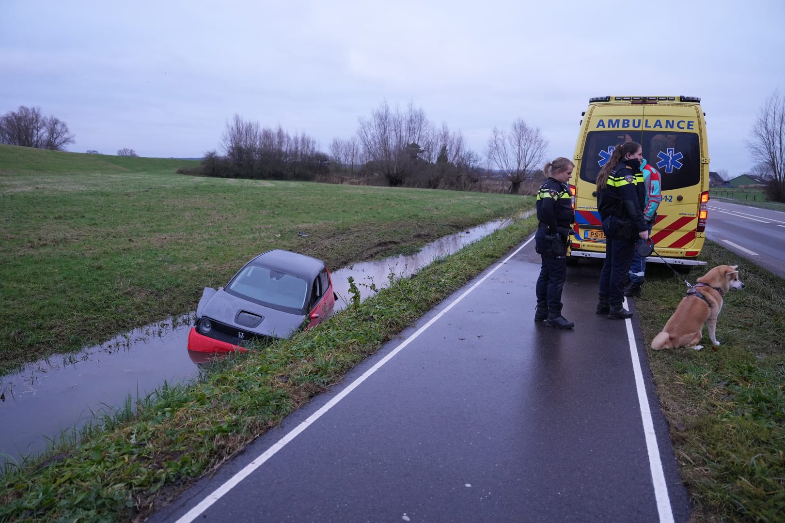 Auto raakt van de weg en belandt in sloot in Duiven