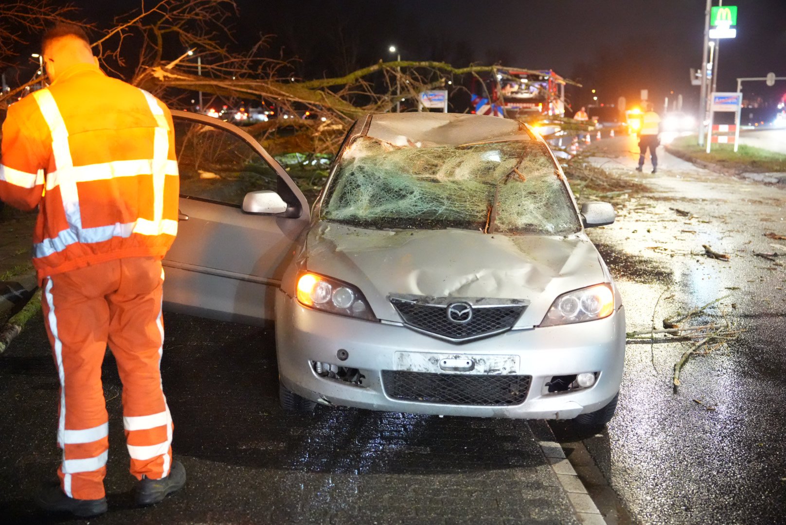 Boom waait om en komt op rijdende auto in Arnhem