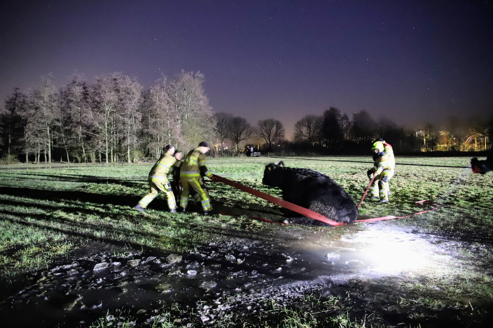 Galloway rund in problemen door kou