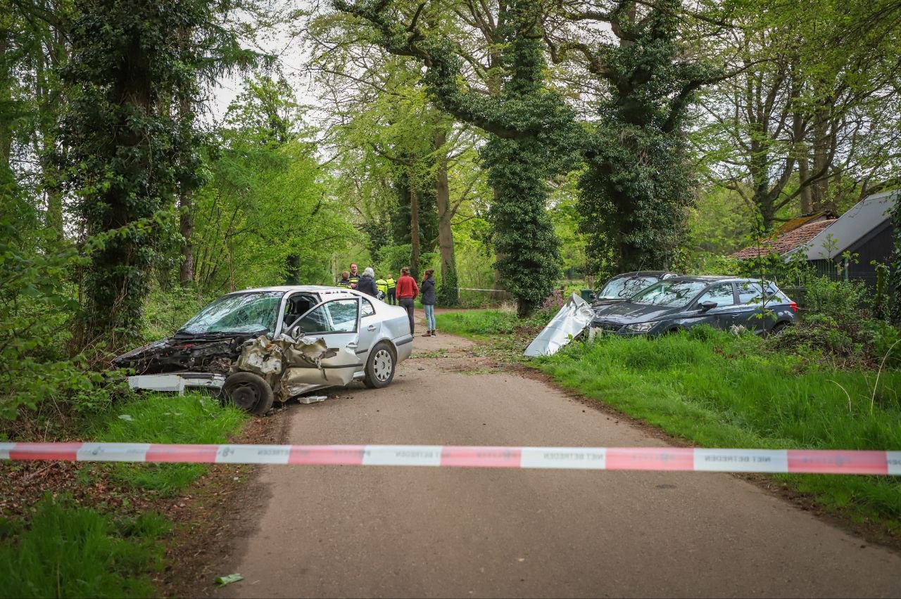 Automobilist ramt boom en geparkeerde auto’s