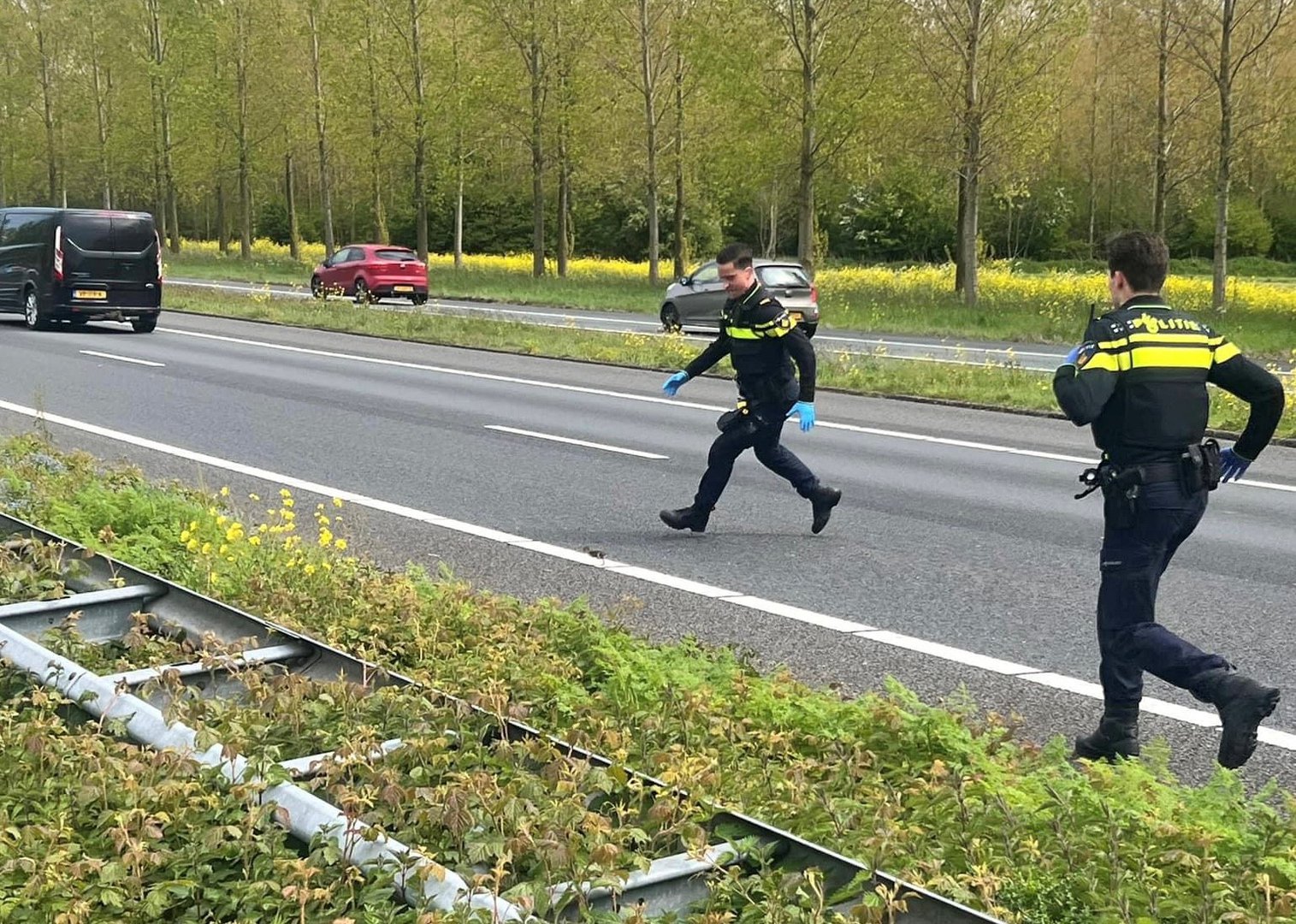 Agenten vangen 17 kuikens op A15, vrachtwagens botsen op elkaar