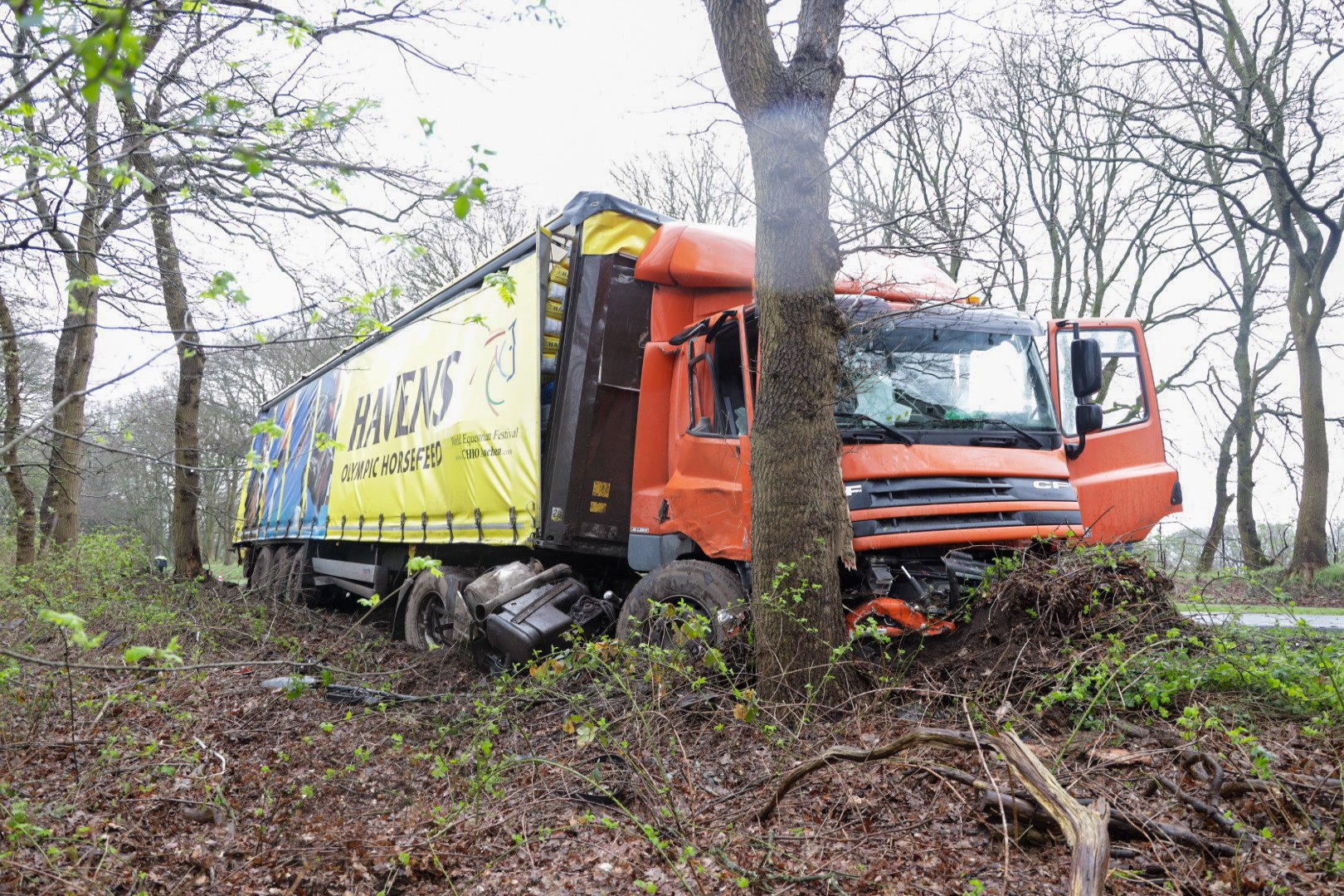 Vrachtwagen raakt van de weg en zorgt voor ravage, chauffeur ongedeerd