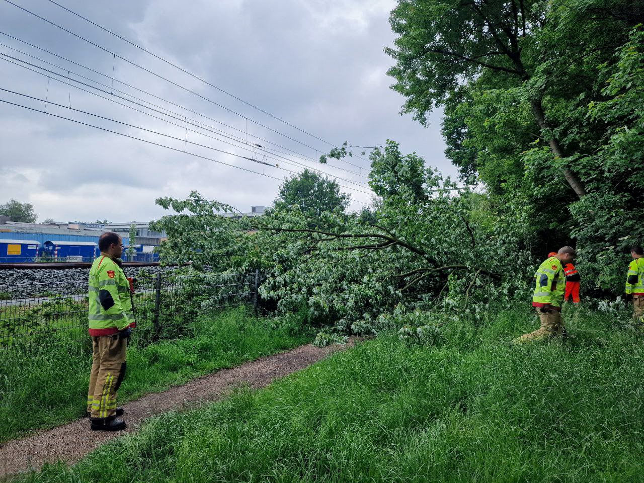 Brandweer verwijderd omgevallen boom langs spoorlijn
