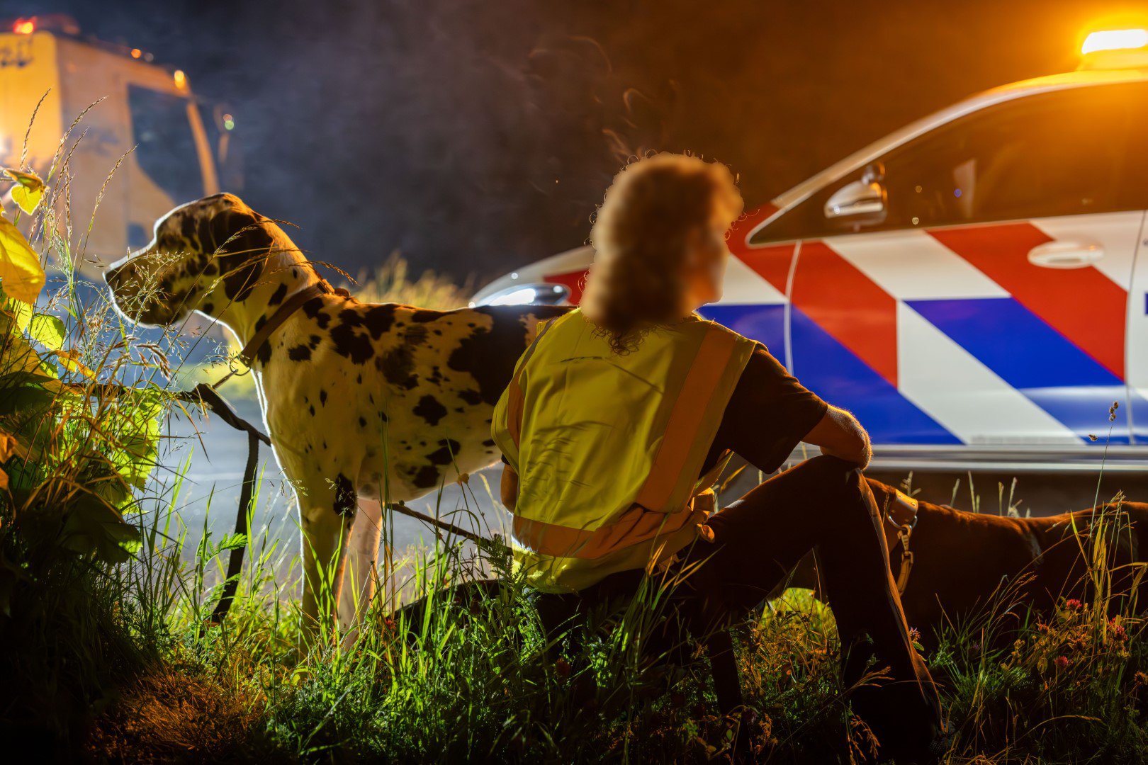 UPDATE: Bestuurster (35) aangehouden bij eenzijdig ongeval, honden met dierenambulance mee