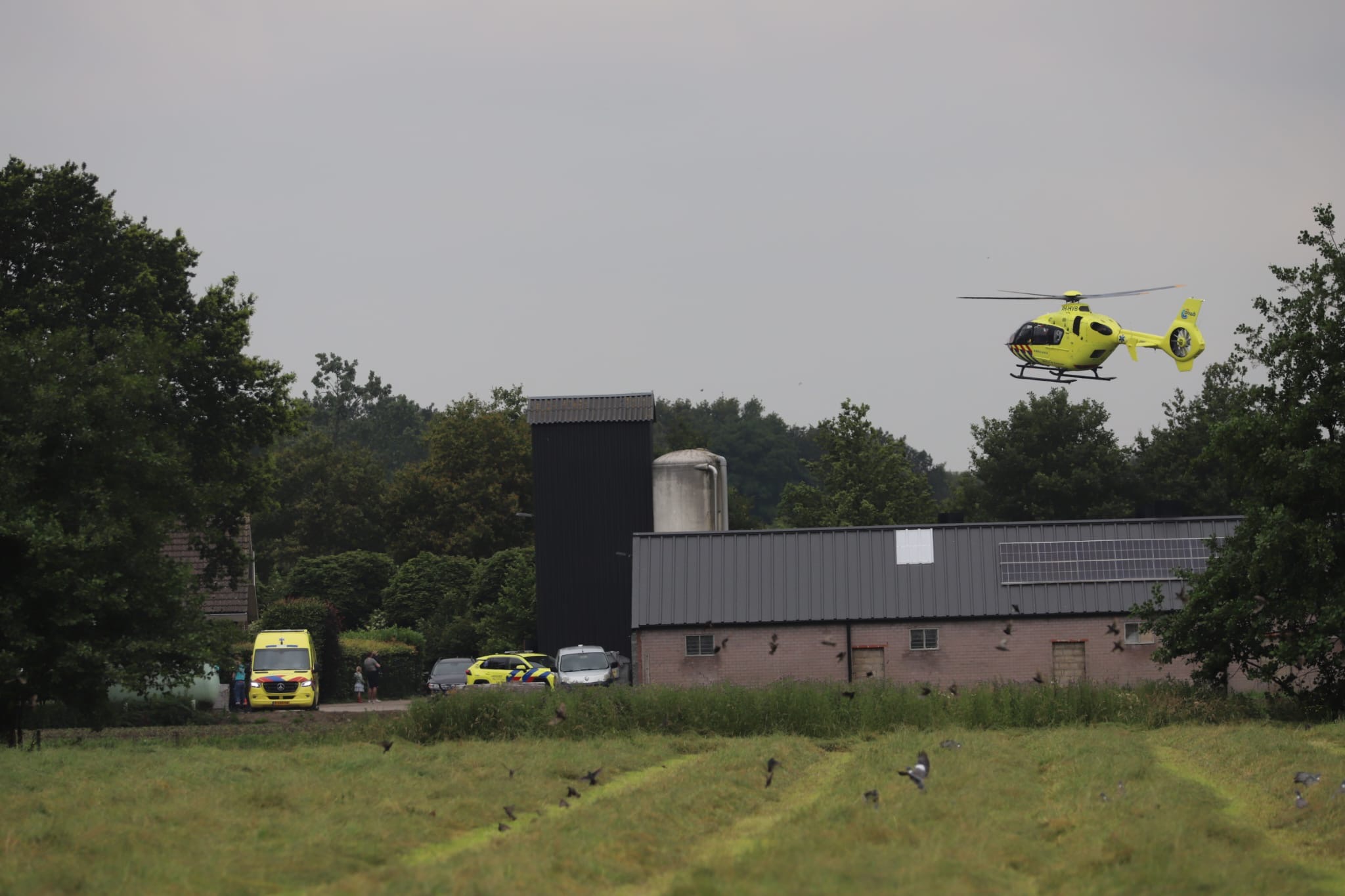 Gewonde bij ongeval op boerderij, traumaheli landt in weiland