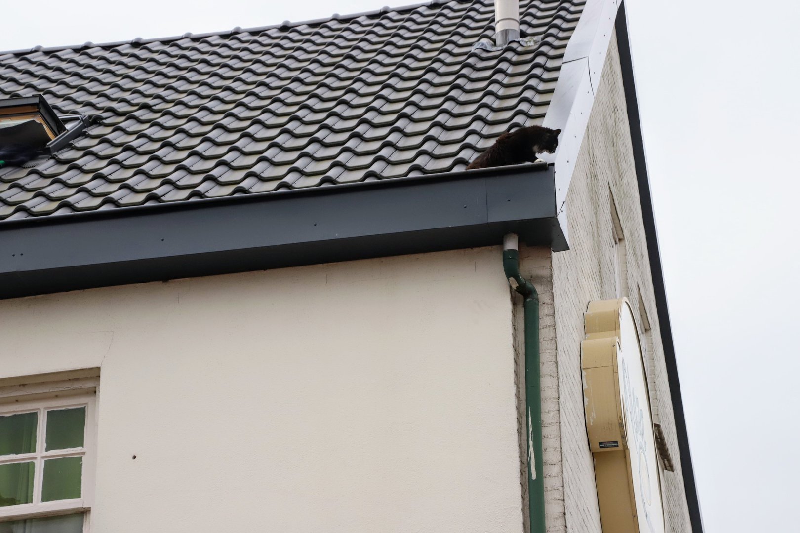 Brandweer haalt kat na twee dagen uit dakgoot