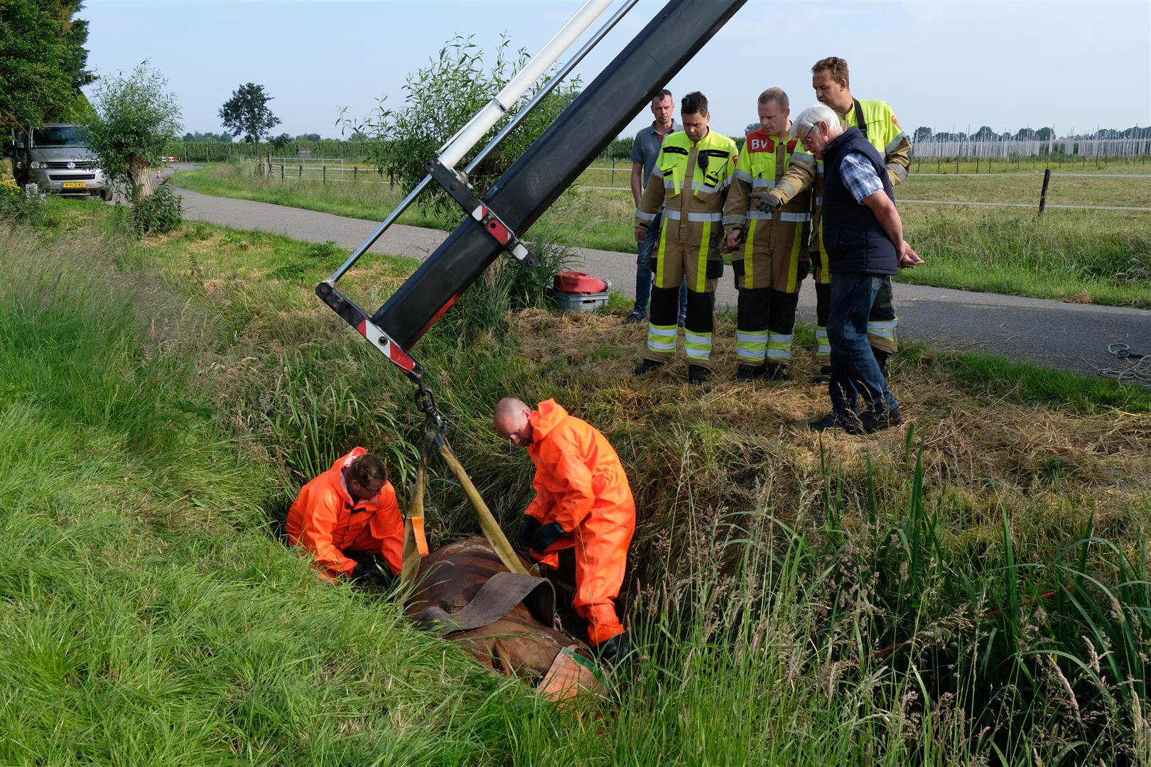 Brandweer redt drachtige merrie uit sloot