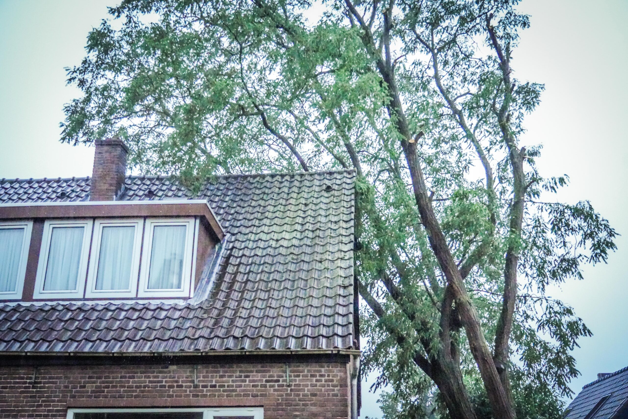 Boom valt op woning in Oosterbeek
