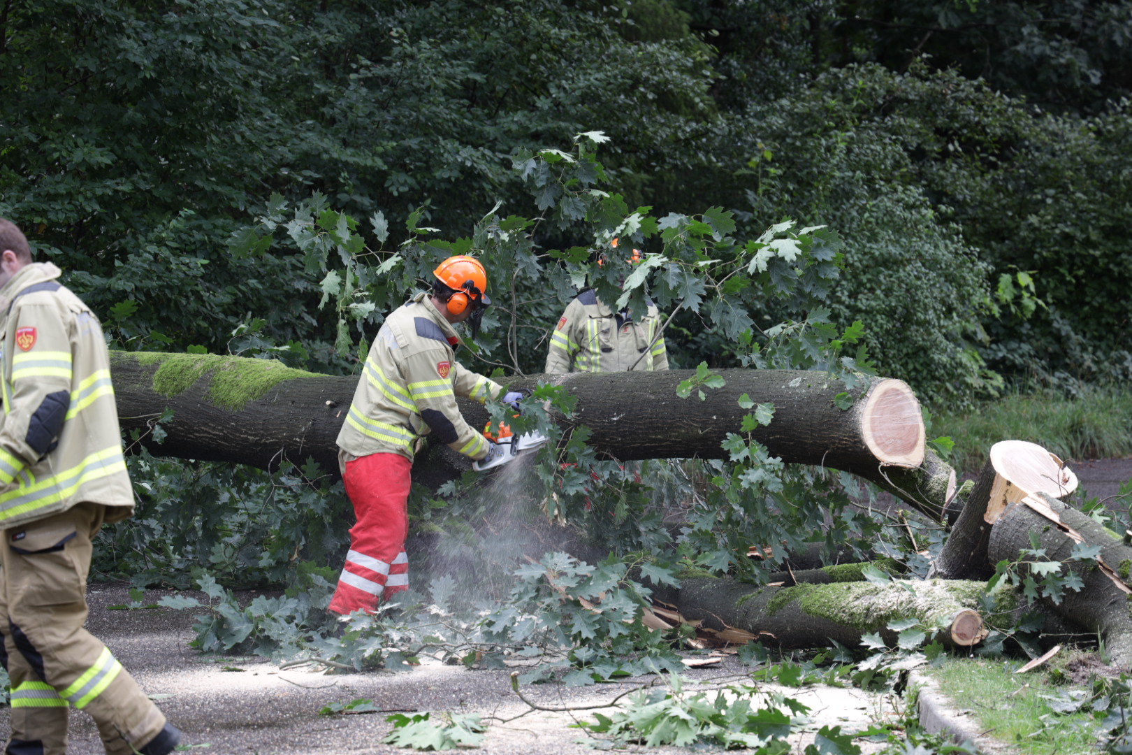 Deel van boom over de weg, rest van de boom ook omgezaagd