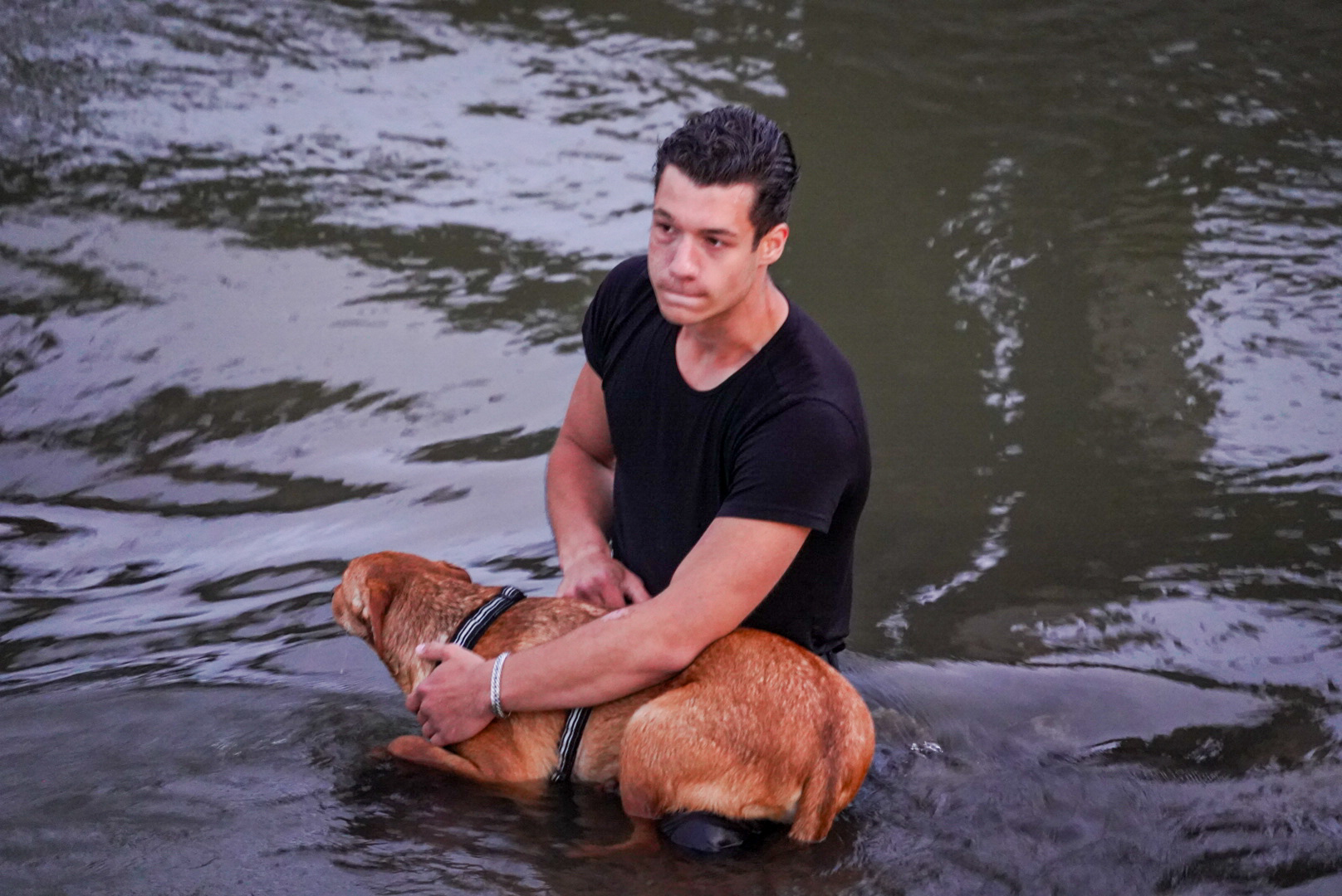 Heldenactie van Lennard (17): Redt hond uit de IJssel