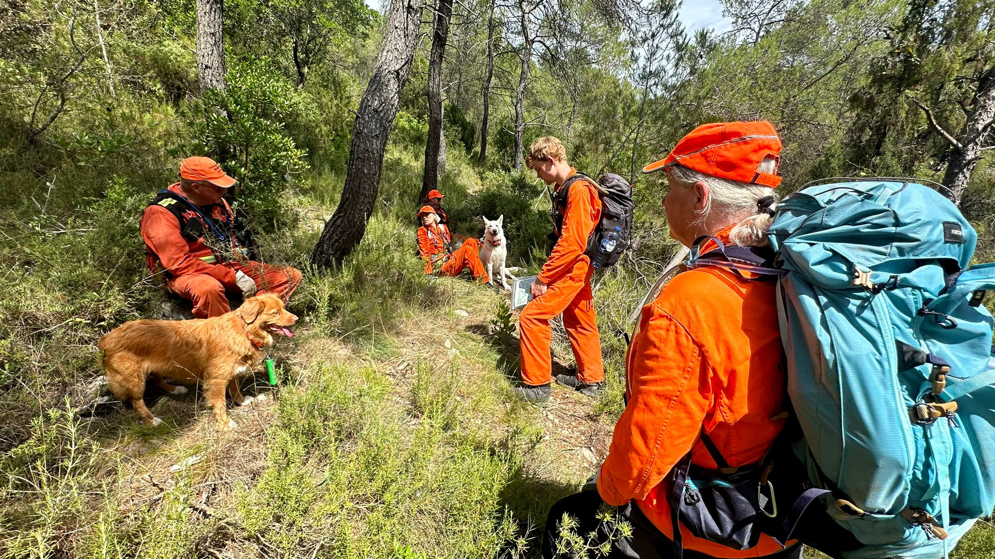 Speurhonden uit Duiven vinden lichaam vermiste vrouw Frankrijk