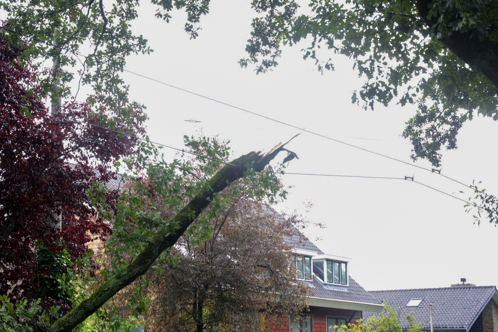 Tak breekt af en valt op trolleylijn met 700 volt