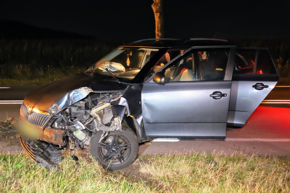 Veel schade nadat auto tegen boom botst