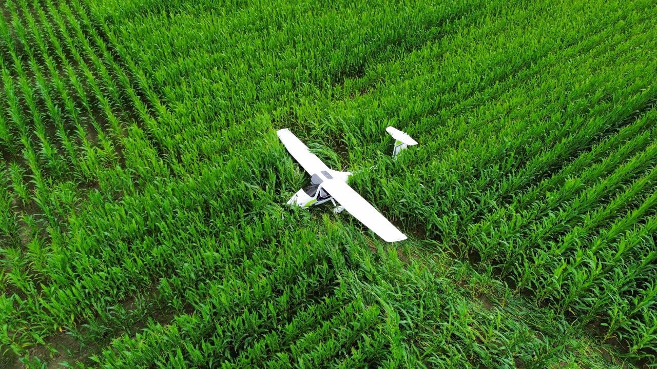 Vliegtuigje maakt noodlanding in maisveld