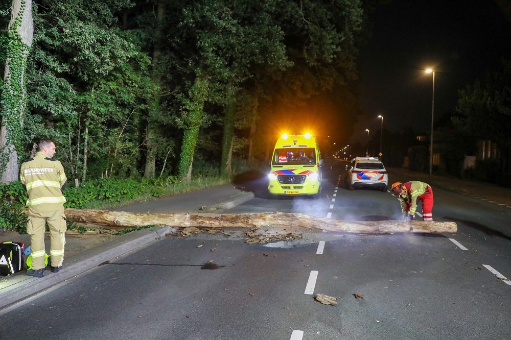 Fietsster botst op omgevallen boom en raakt gewond