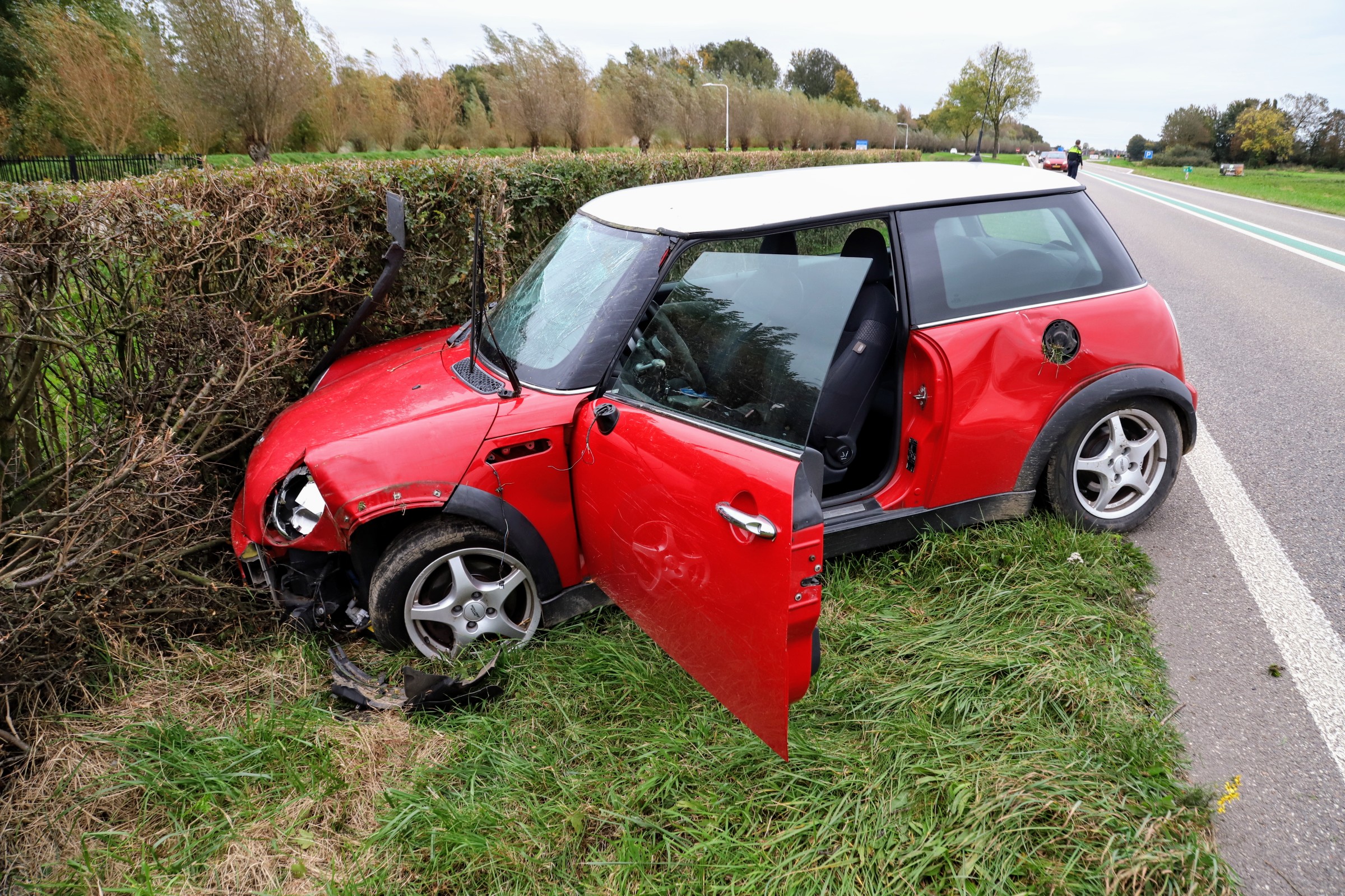 Auto belandt op verkeerde weghelft en wordt tegengehouden door struiken