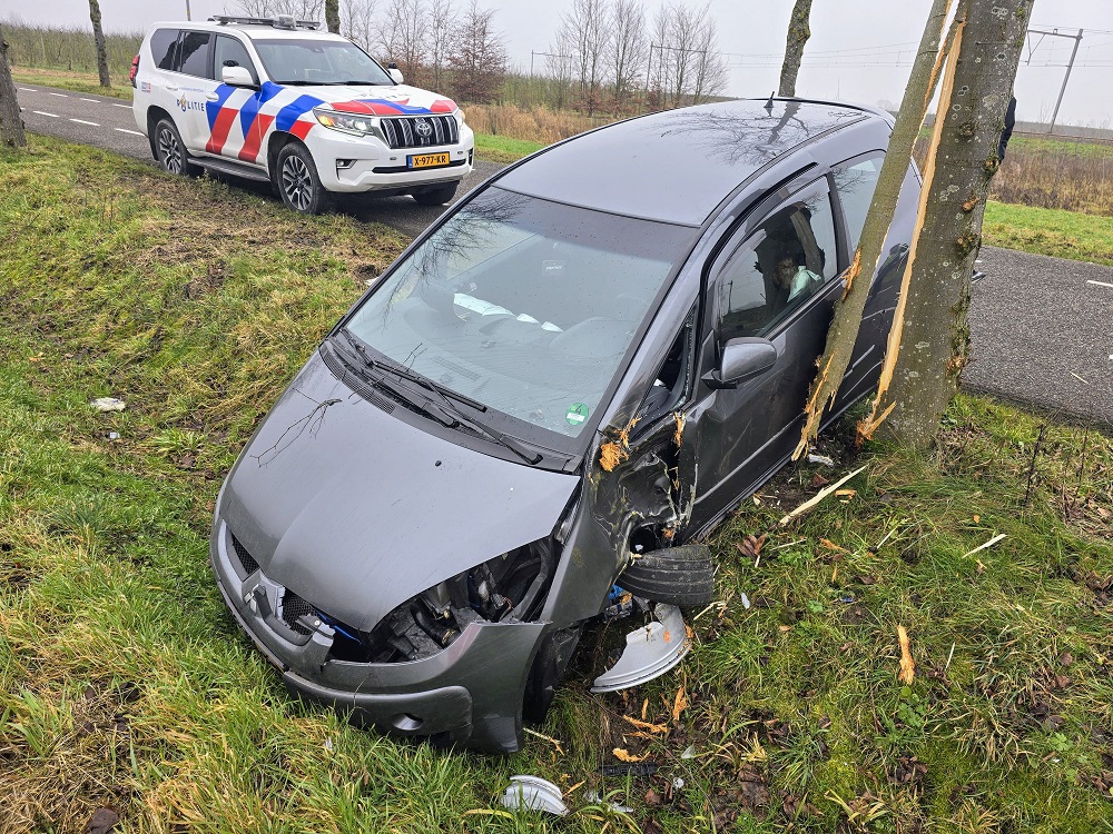 Veel schade na botsing tegen boom
