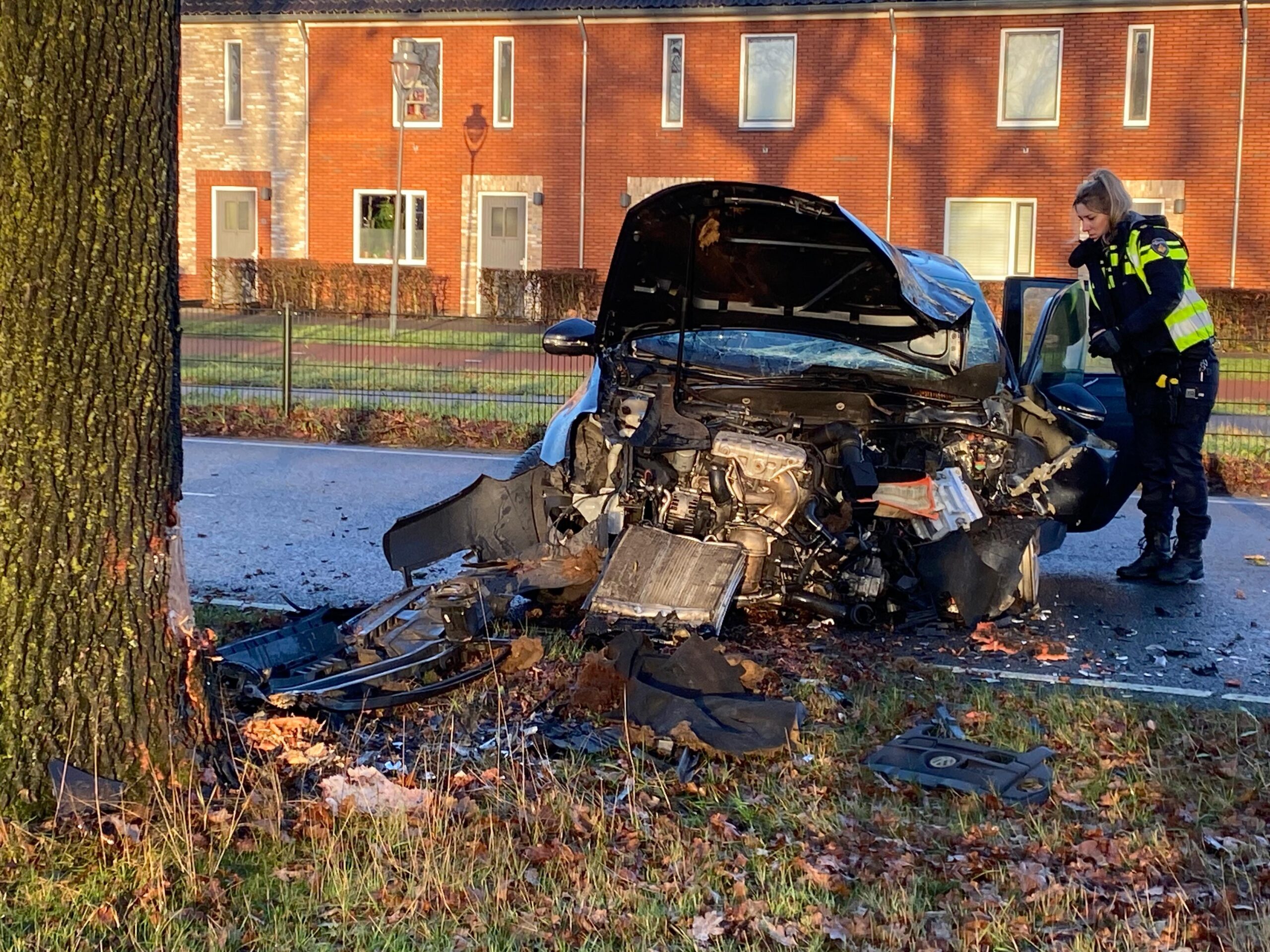 Auto botst tegen boom, bestuurder gewond