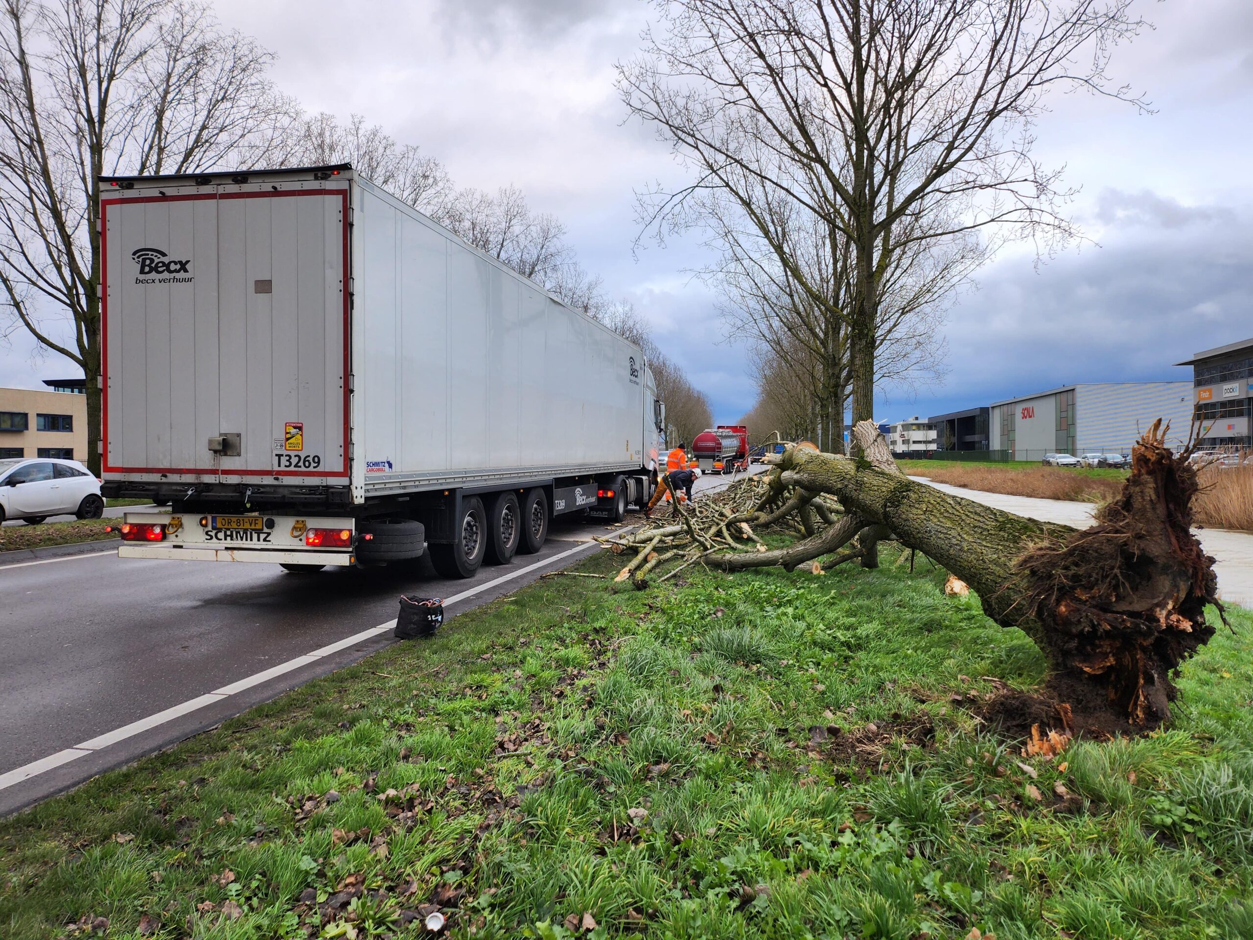 VIDEO: Boom omgewaaid op rijdende vrachtwagen