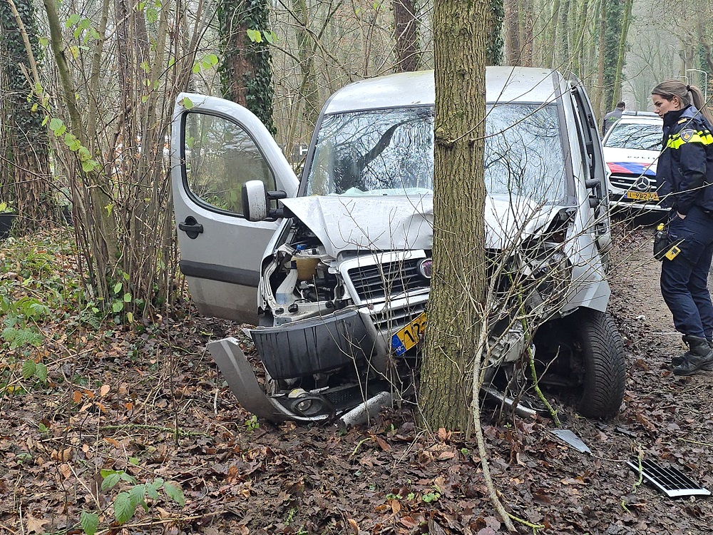 Auto botst tegen boom, bestuurder en kinderen ongedeerd
