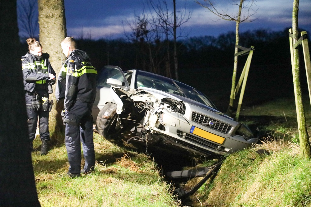 Veel schade na botsing tegen boom, bestuurder gewond