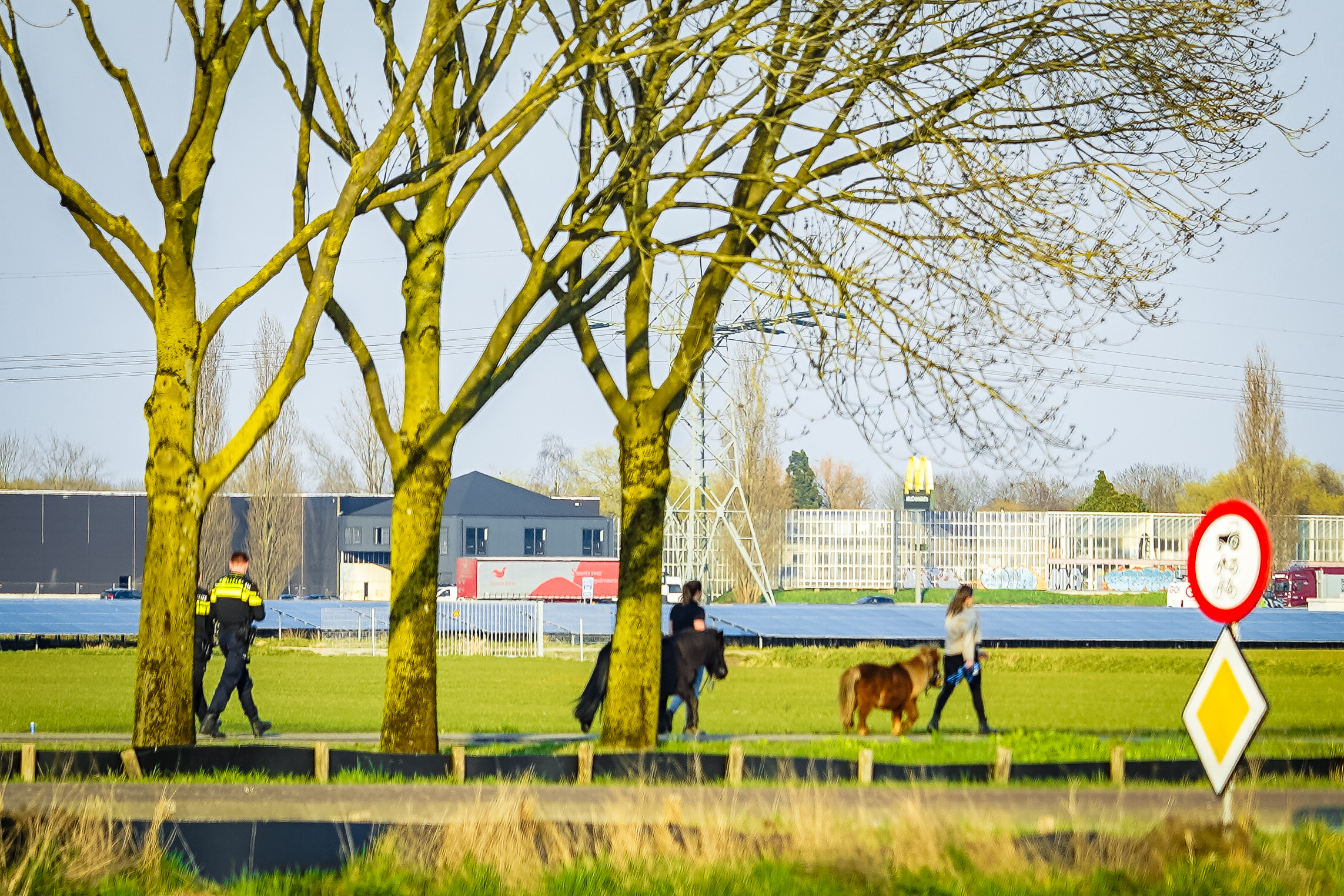 Regionaal nieuws in Gelderland – Belangrijke gebeurtenissen en trends