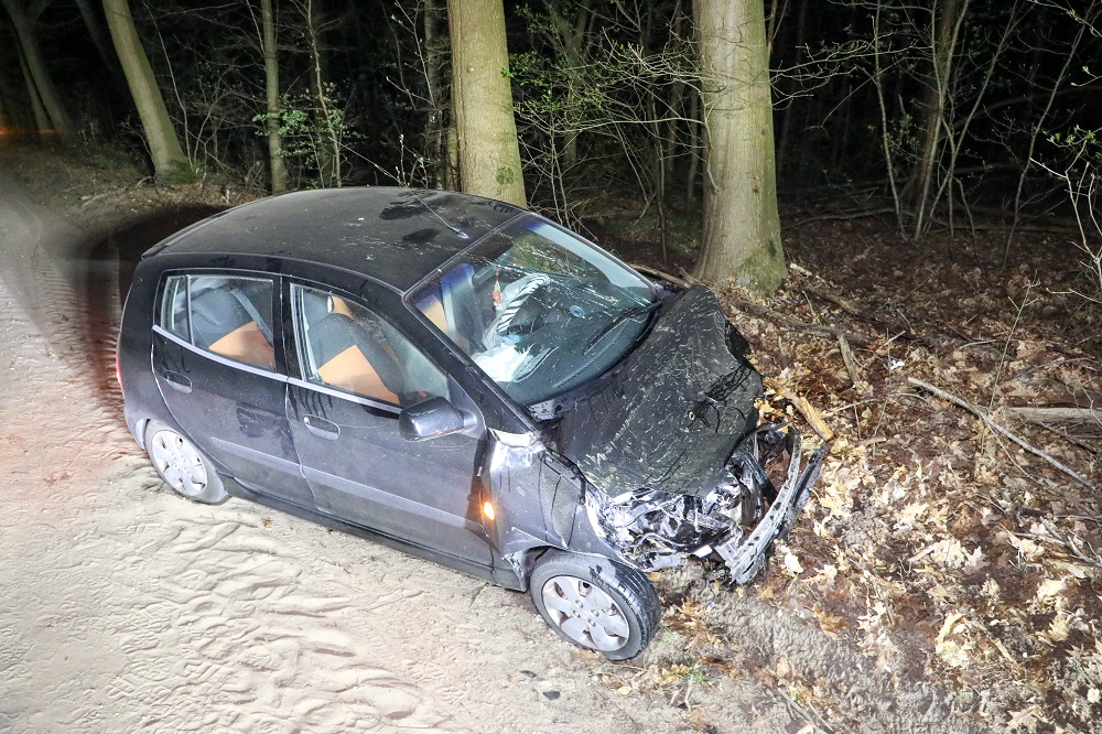 Automobilist wijkt uit voor dier en crasht met auto