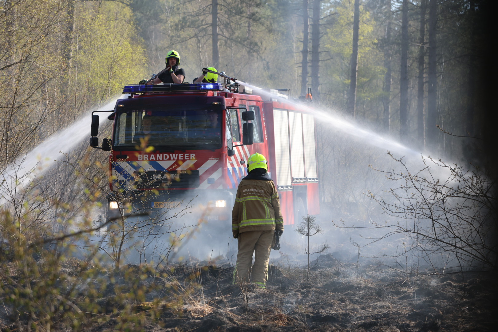 Brandweer heeft handen vol aan grote bosbrand