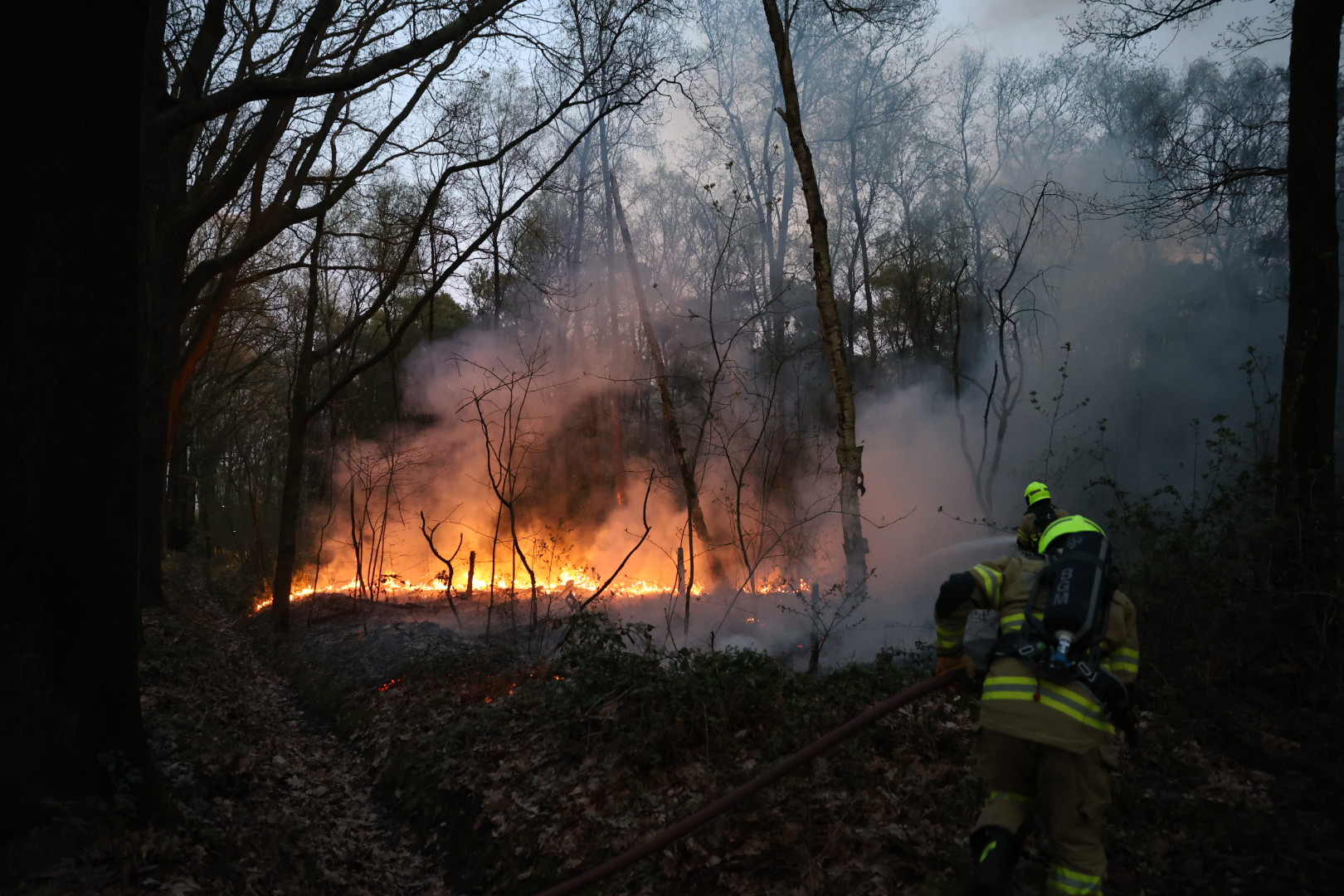 Meerdere brandhaarden in bosgebied, politie vermoedt opzet