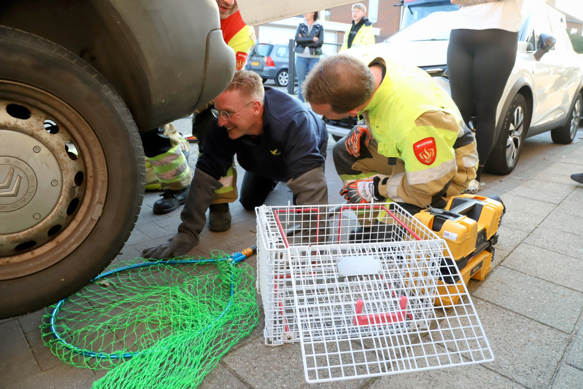 Brandweer redt vastzittende kat in auto