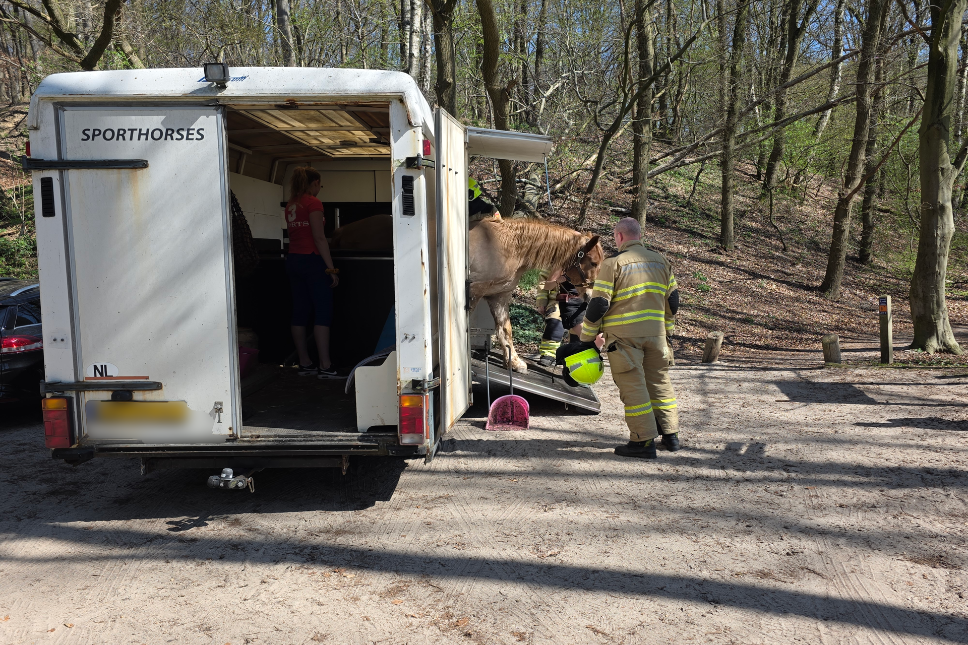 Brandweer bevrijdt paard uit vastzittende trailer