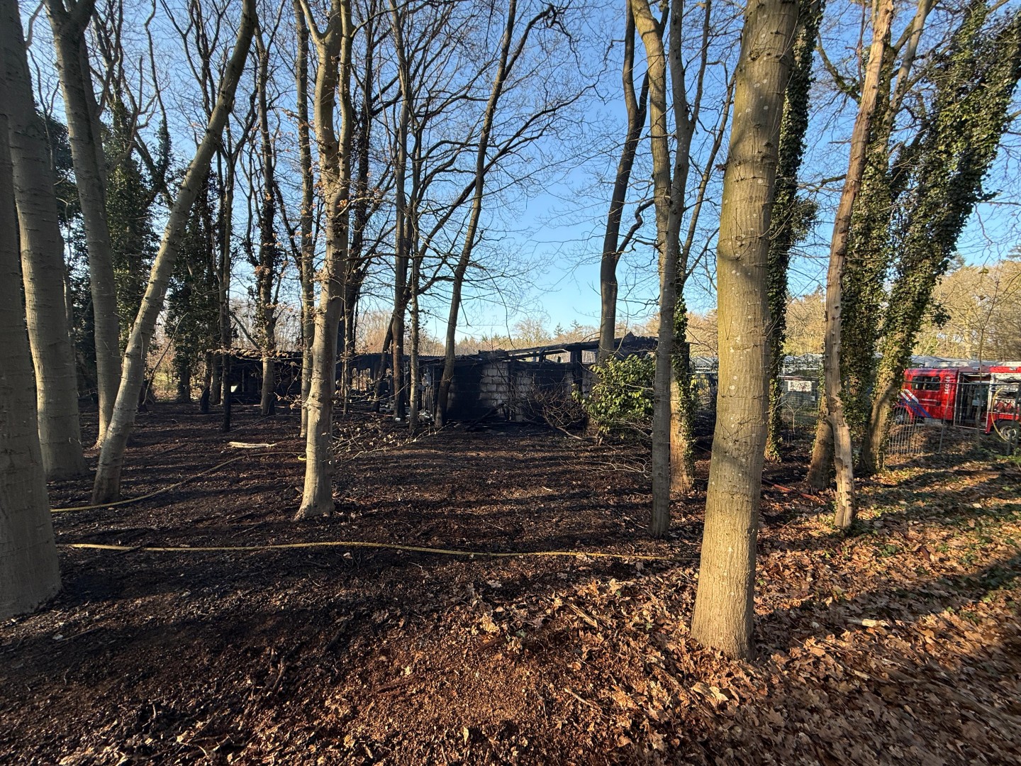 Grote brand verwoest schuur en steekt bos in brand