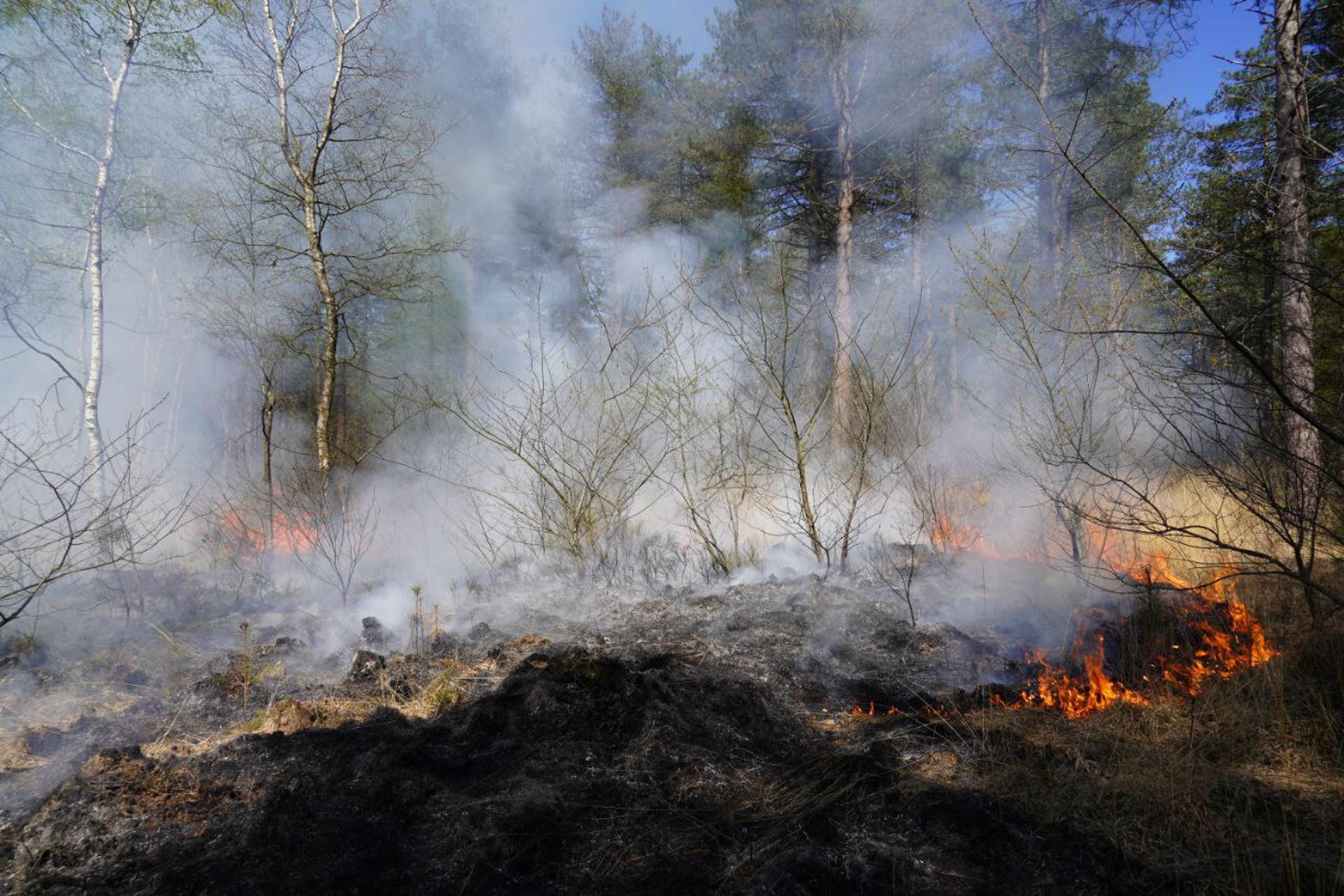 Grote bosbrand op heide laait opnieuw op
