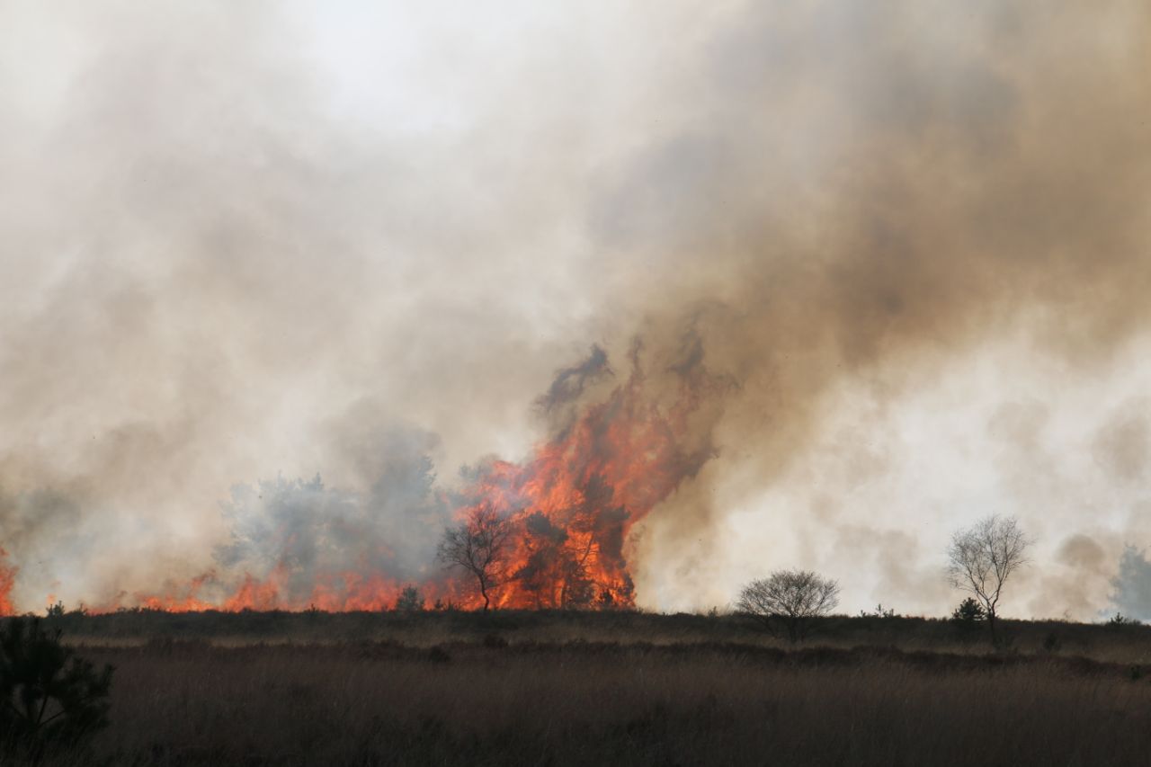 UPDATE: NL-Alert voor grote natuurbrand: “Sluit ramen en deuren”