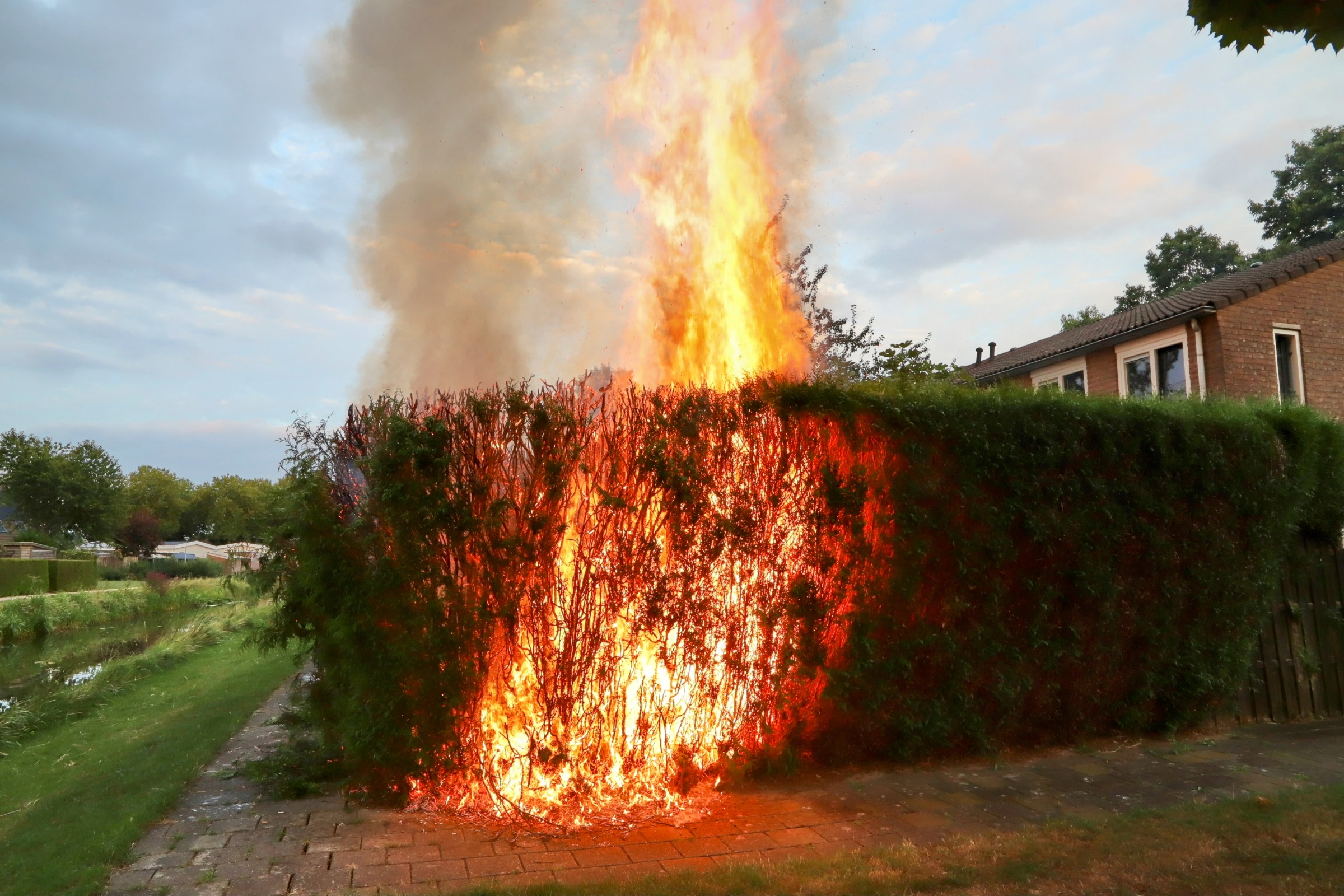 Coniferen en fiets door brand verwoest