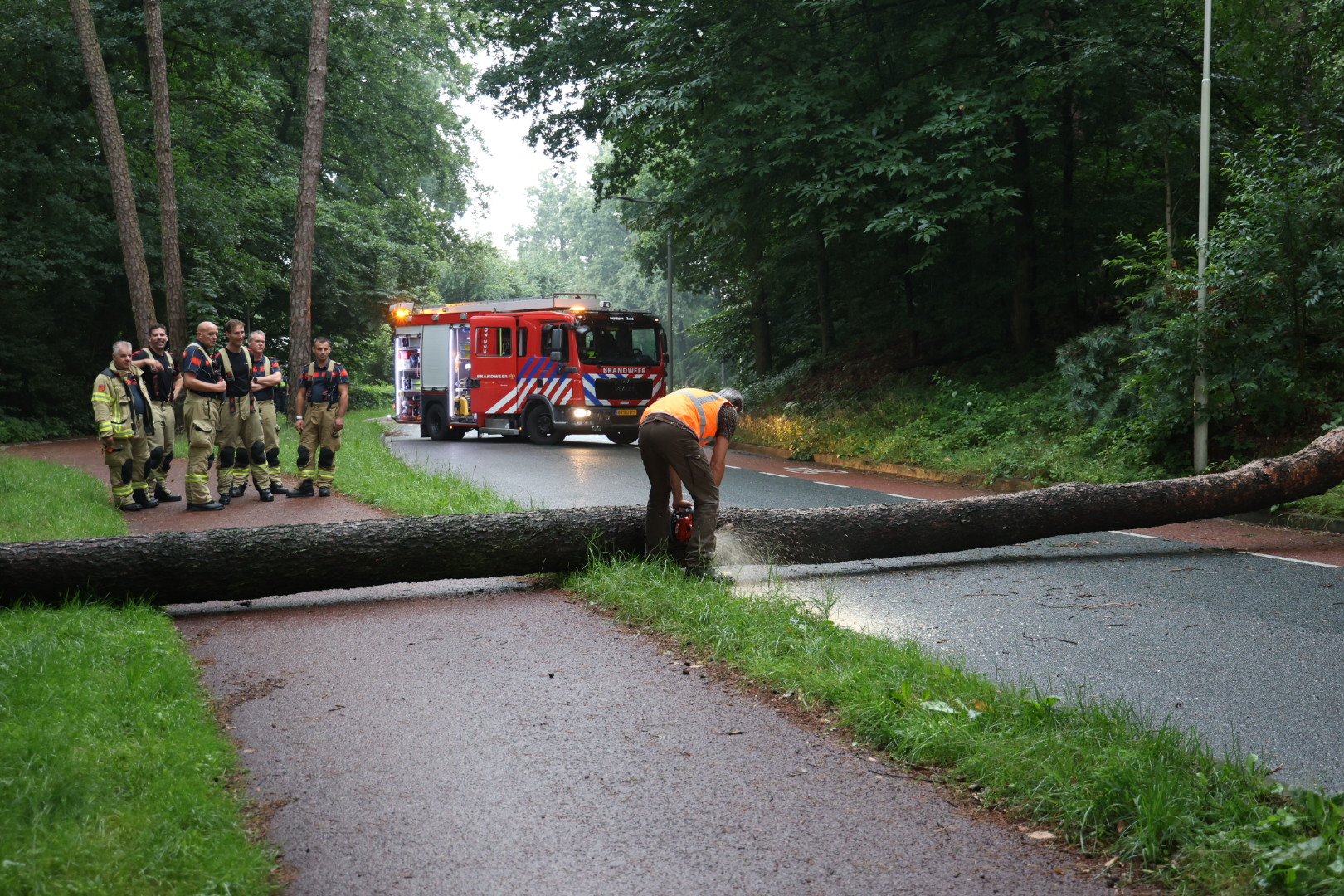 Grote boom valt spontaan om en blokkeert weg volledig