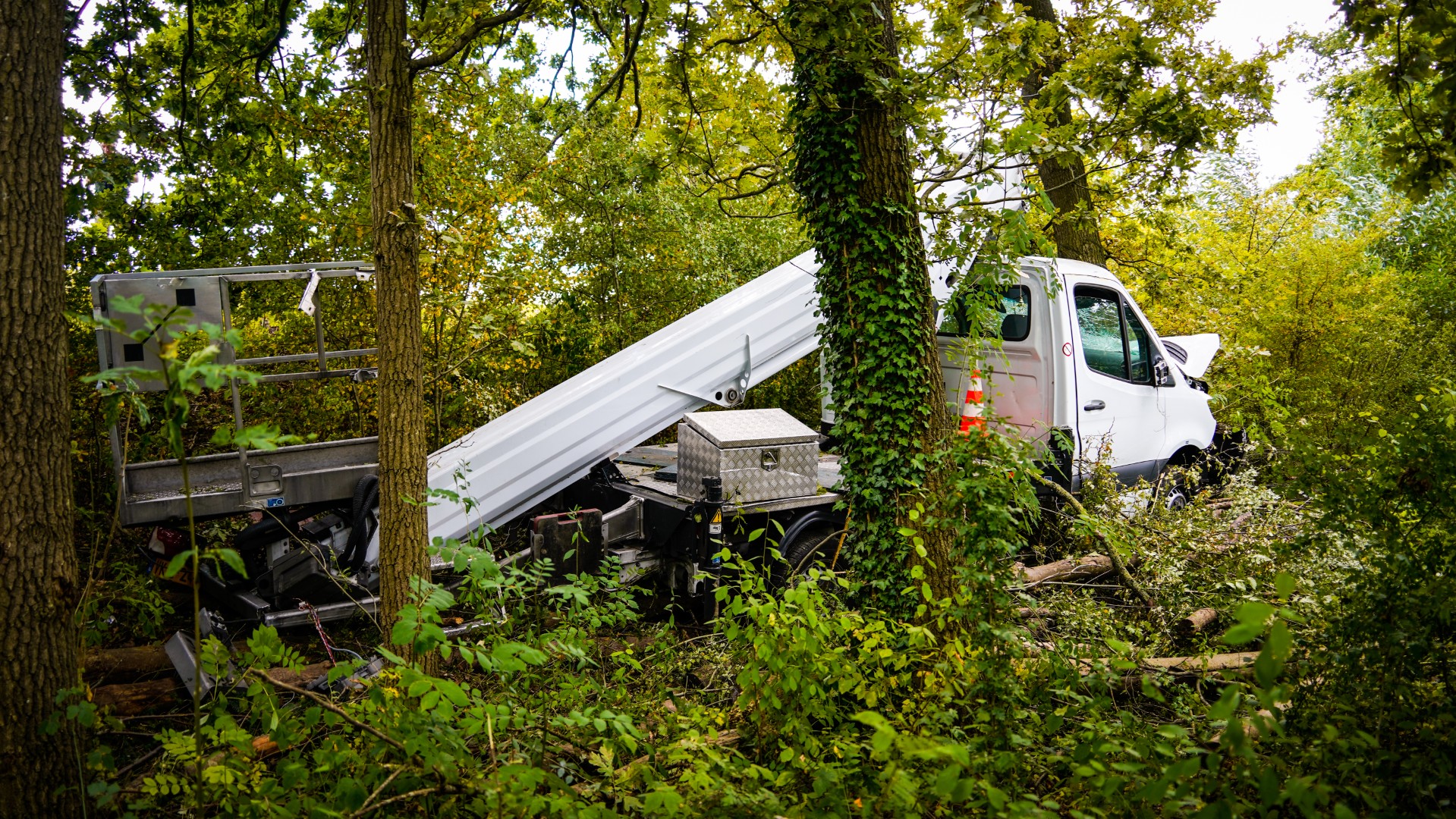 Hoogwerker belandt naast snelweg tegen boom