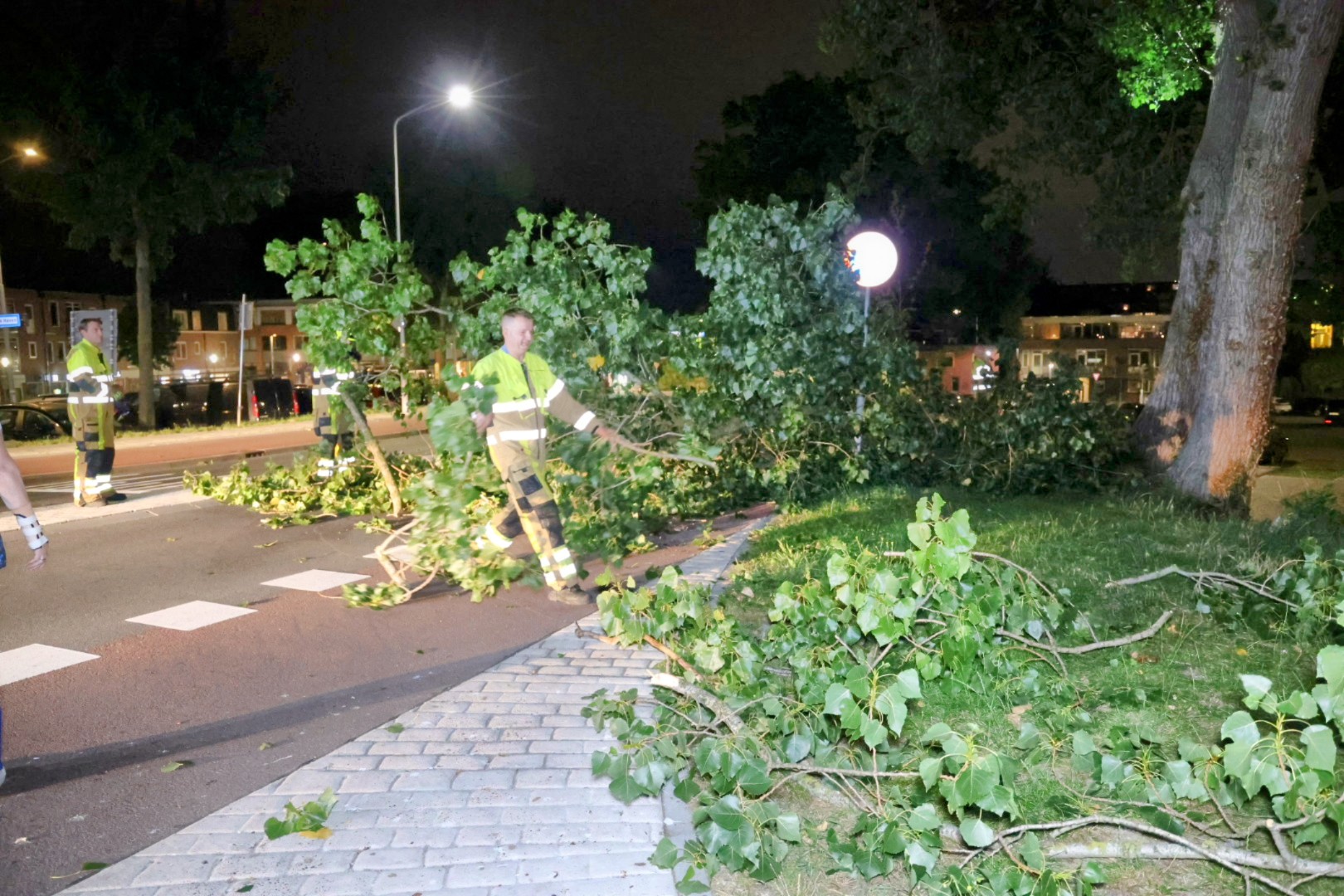 Grote tak breekt af en valt op rijbaan