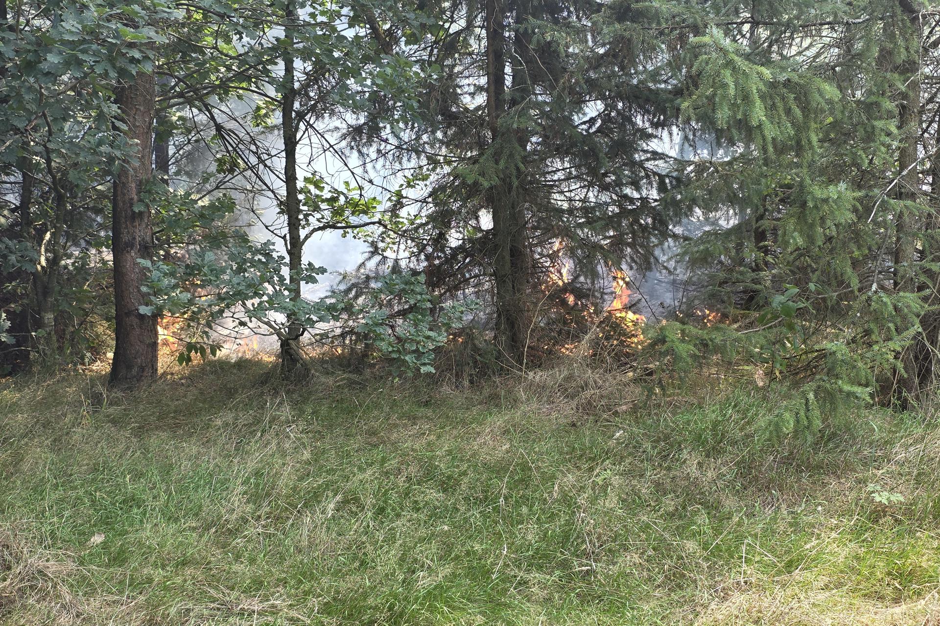 50 bij 10 meter bos uitgebrand