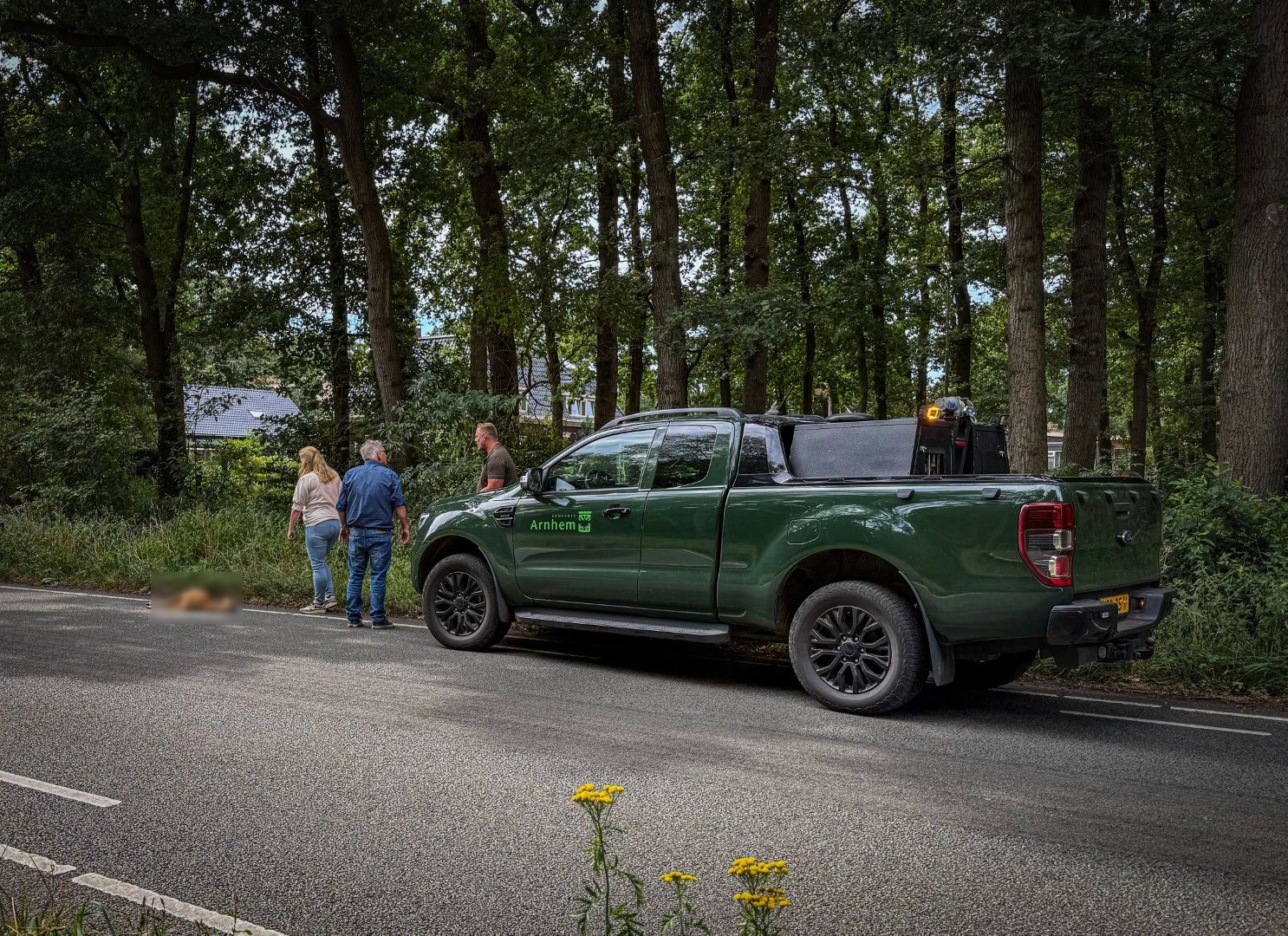 Ree komt om bij aanrijding met auto