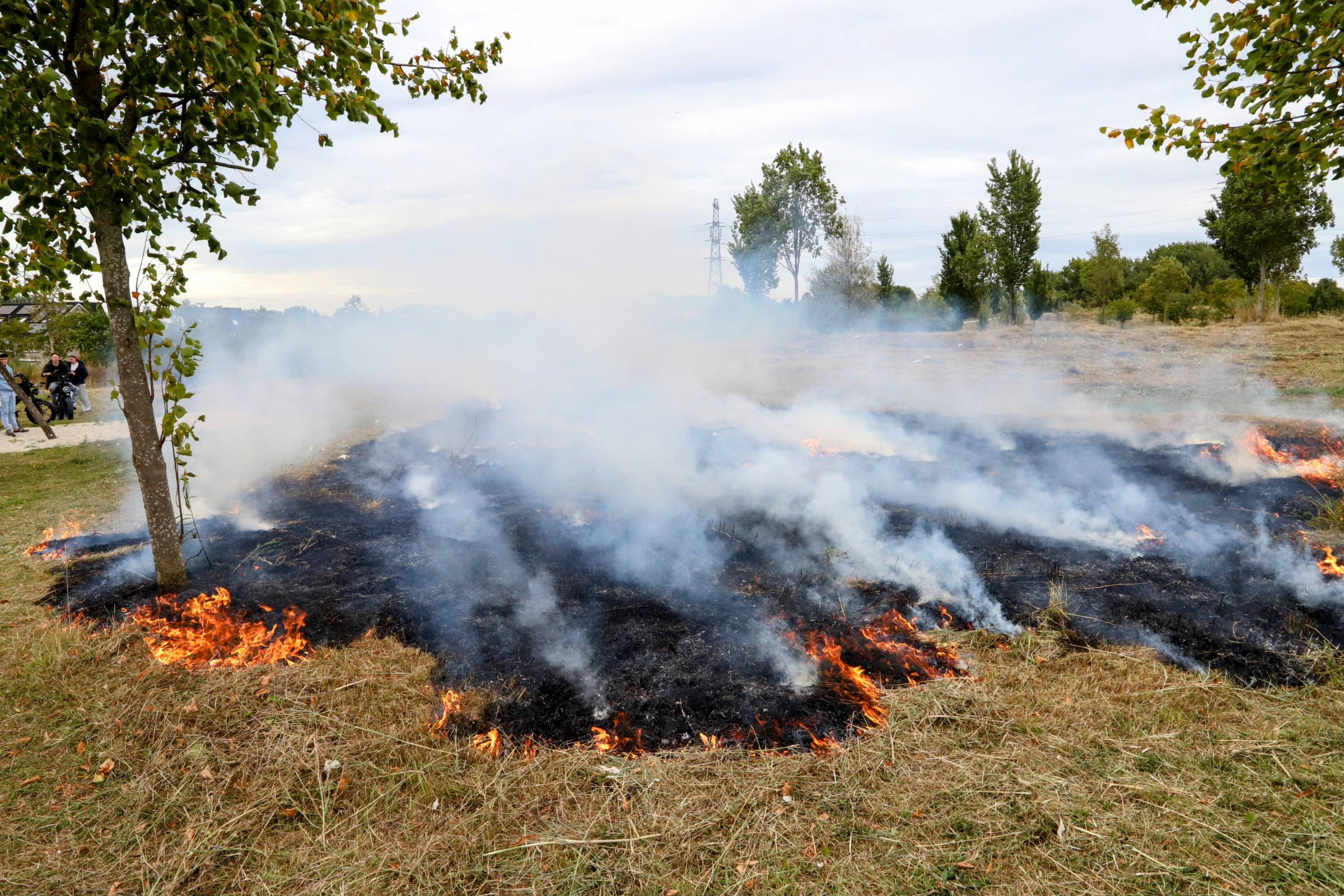 Stuk gras in brand door mogelijk spelende kinderen met vuurwerk