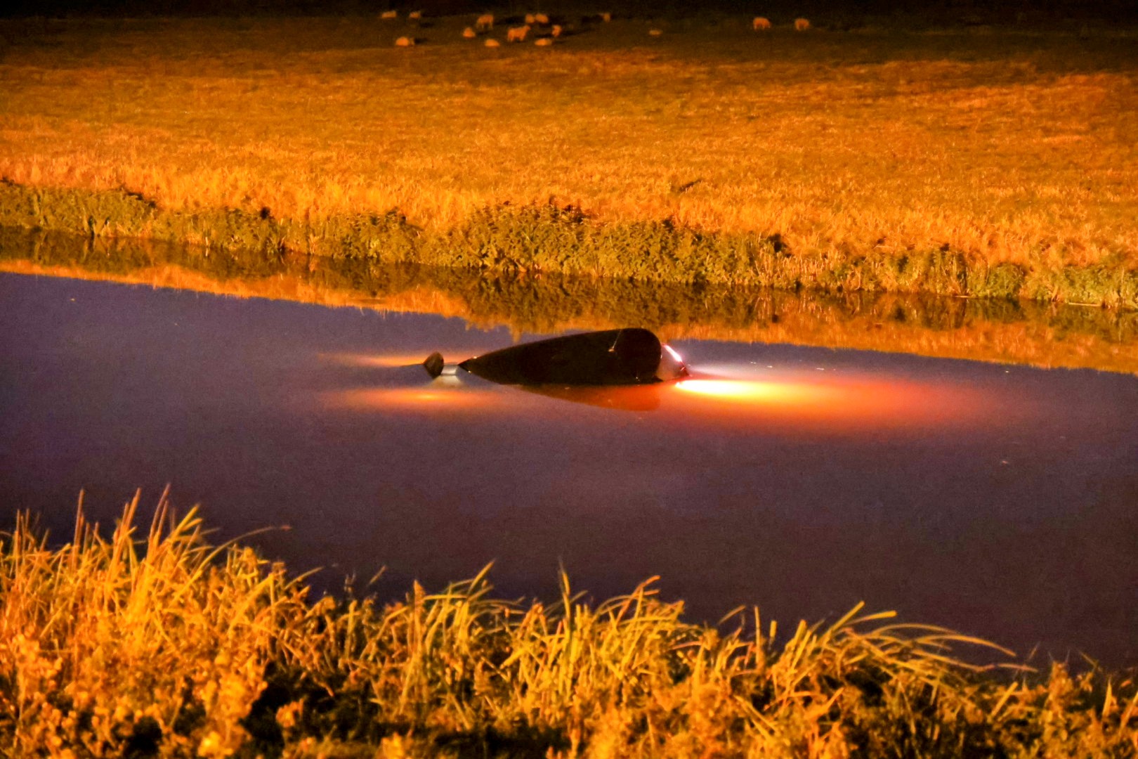 Automobilist verliest macht over stuur en belandt in water