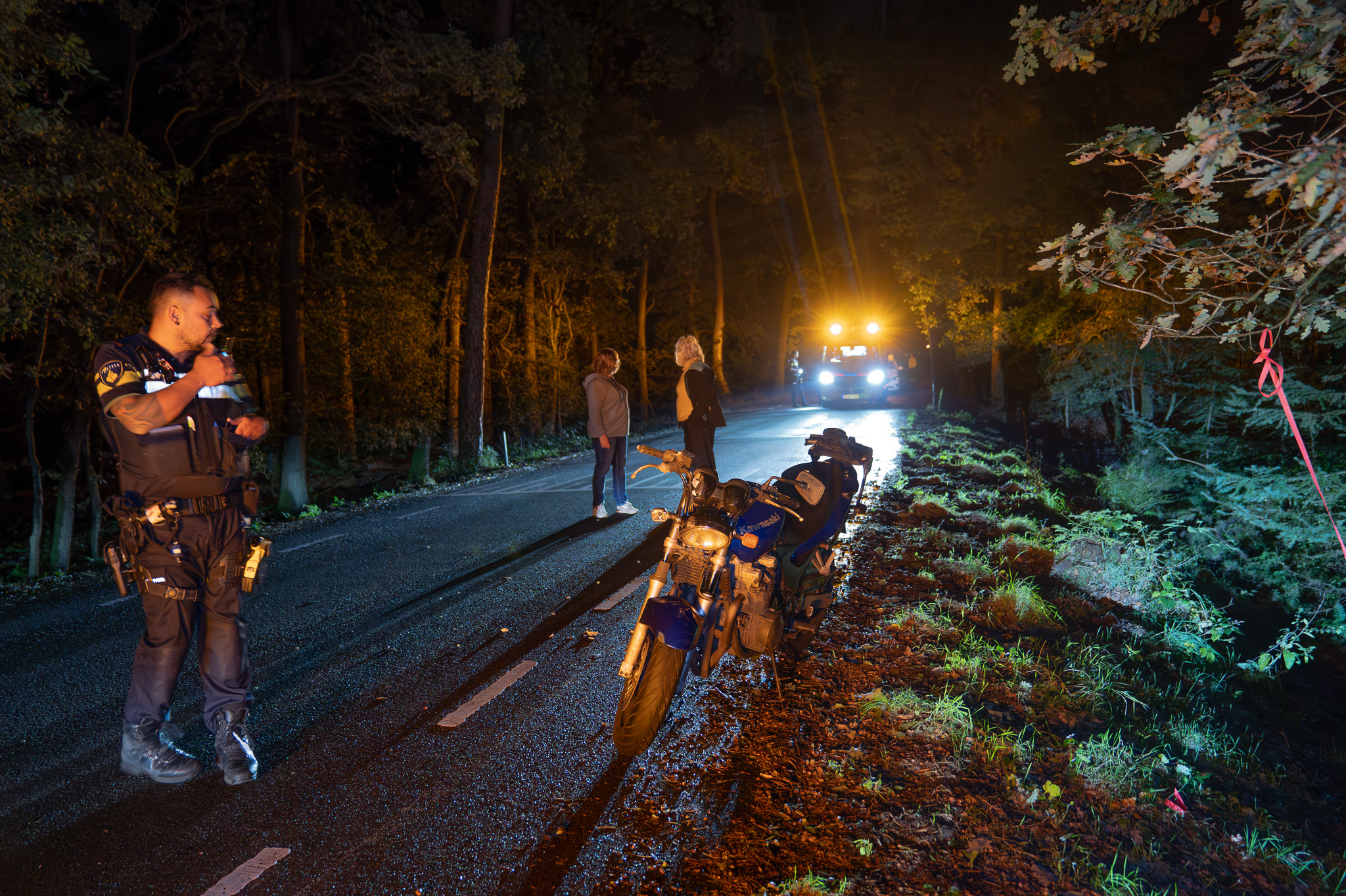 Motorrijder komt ten val na aanrijding met edelhert