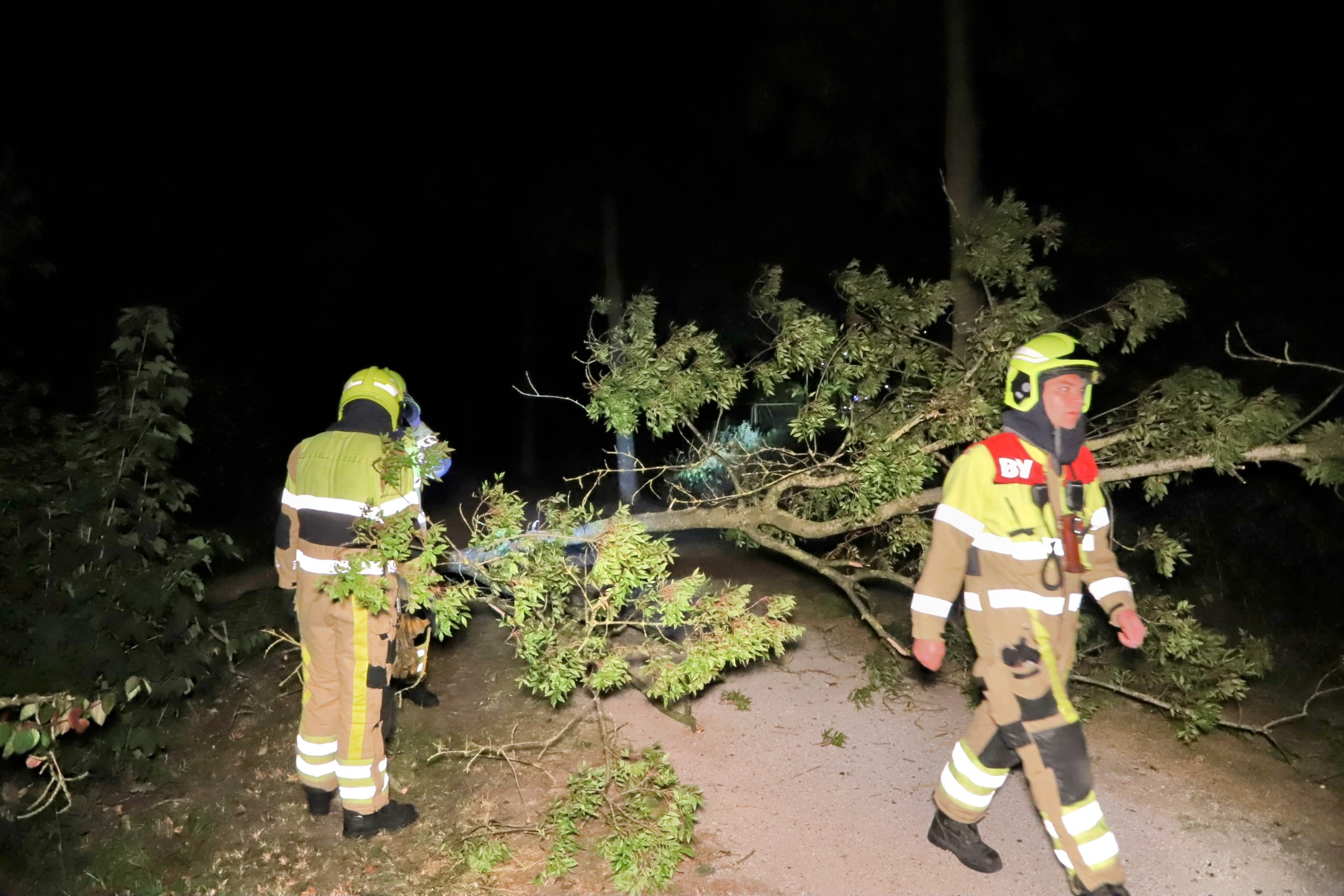 Boom valt op fietspad, brandweer komt in actie