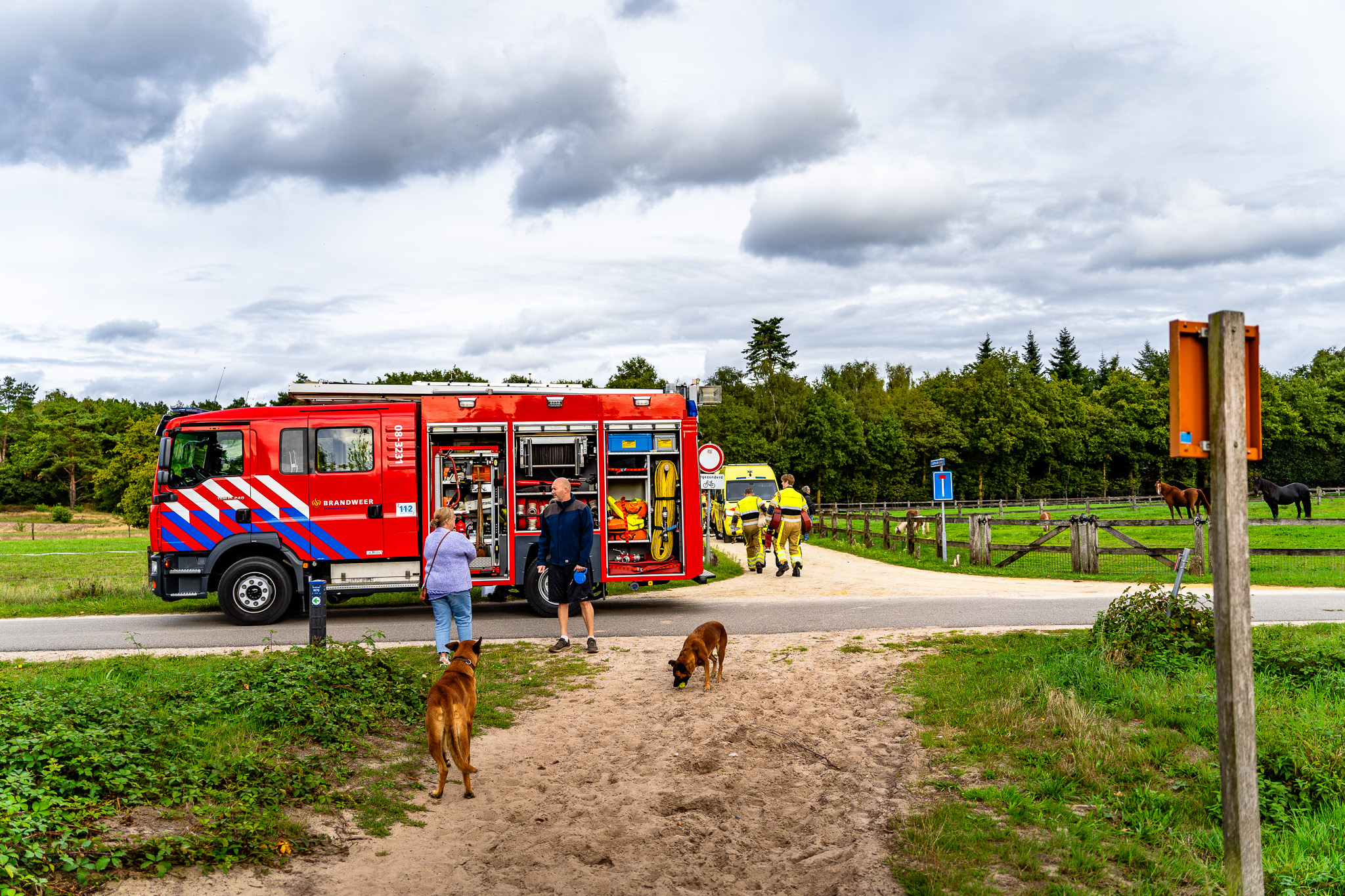 Paard overlijdt bij incident in buitengebied, ruiter gewond
