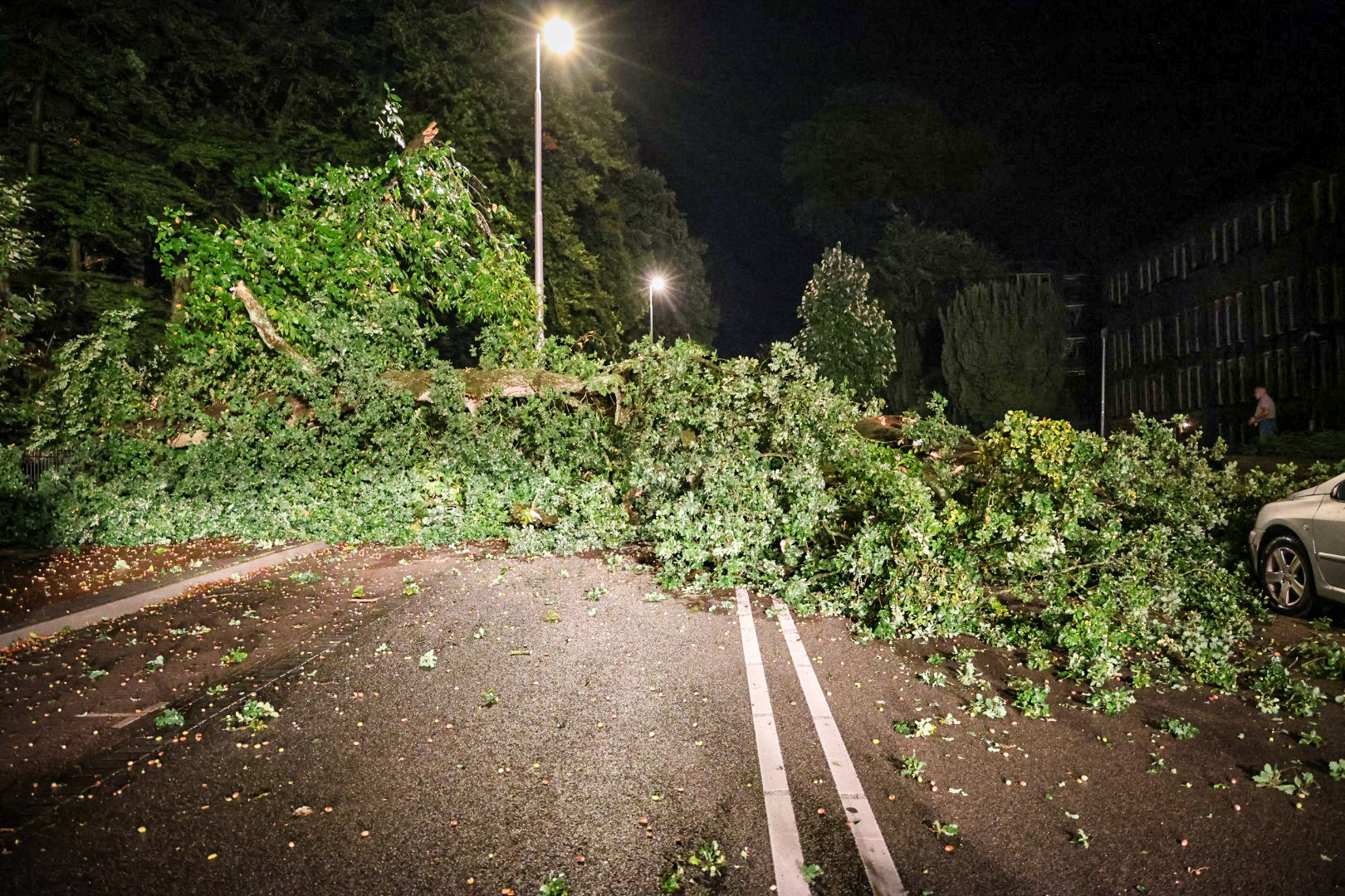 Apeldoornseweg in Arnhem tijdelijk dicht door omgevallen boom