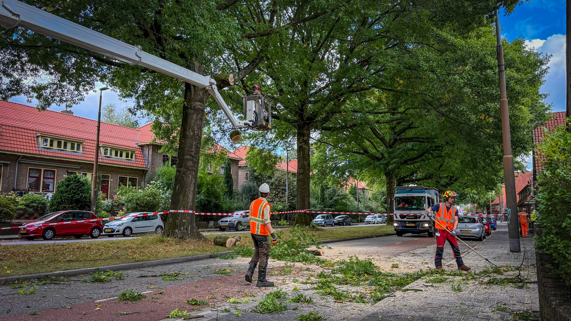 Weg weer open na hangende tak boven trolleylijnen