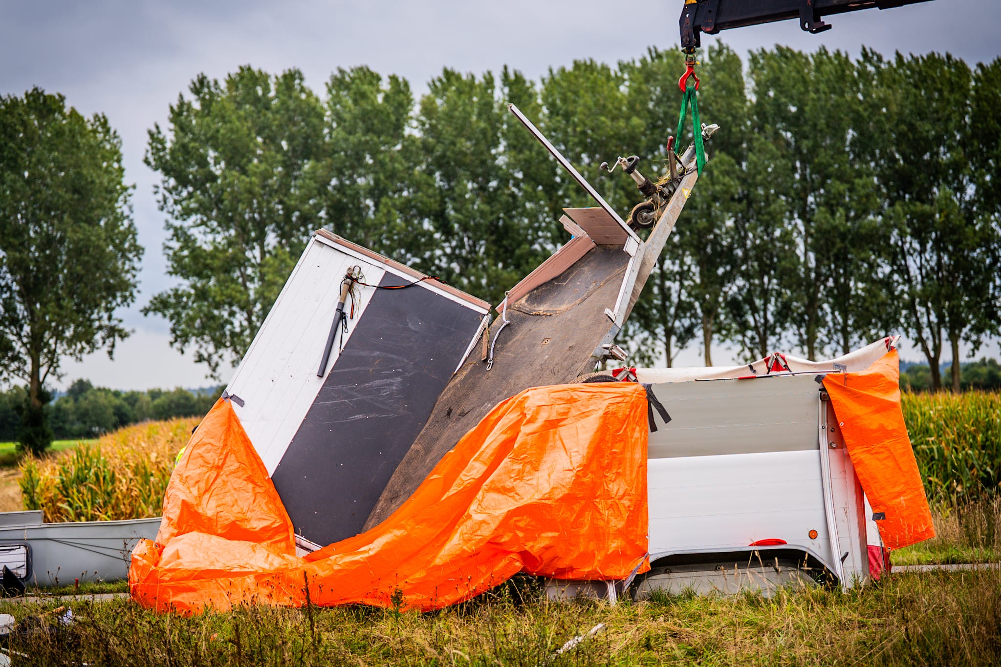 UPDATE: Paard overleden bij ongeval op de snelweg
